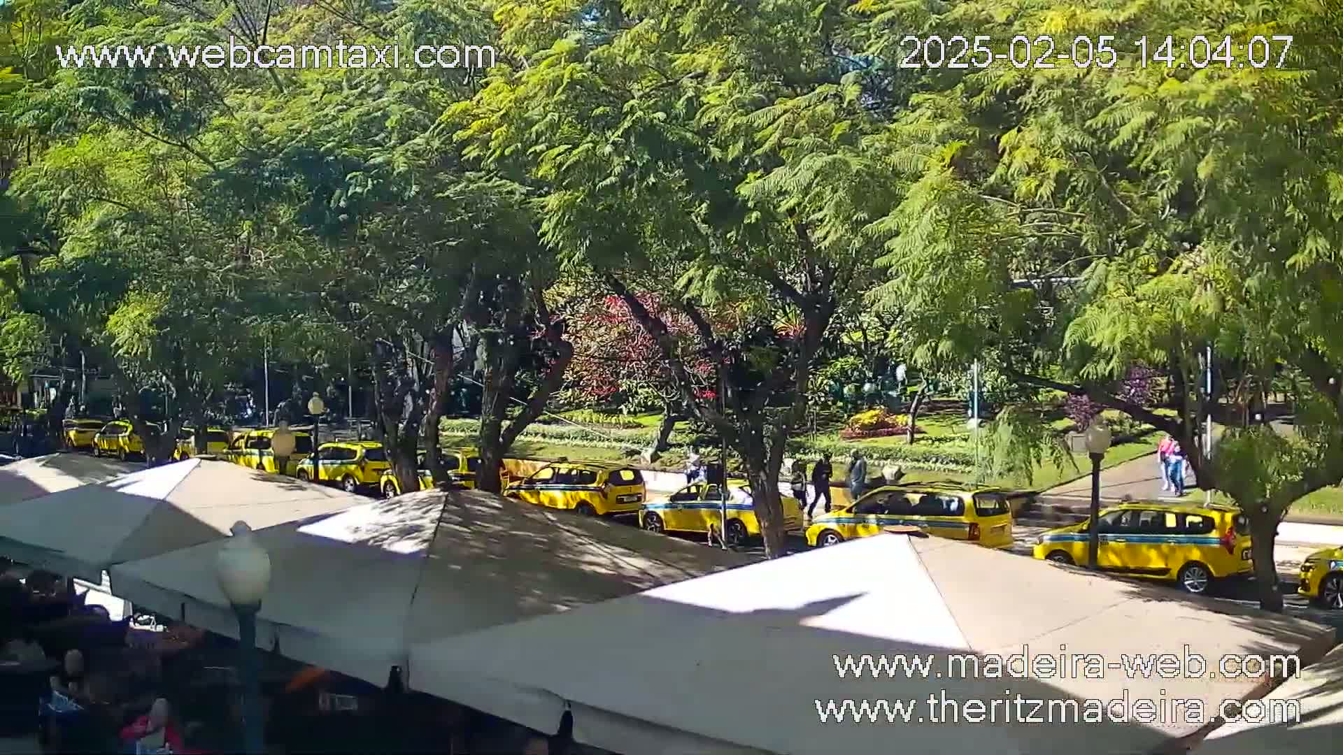 Ritz , Avenida Arriaga Avenue Live Cam - Funchal, Madeira, Portugal
