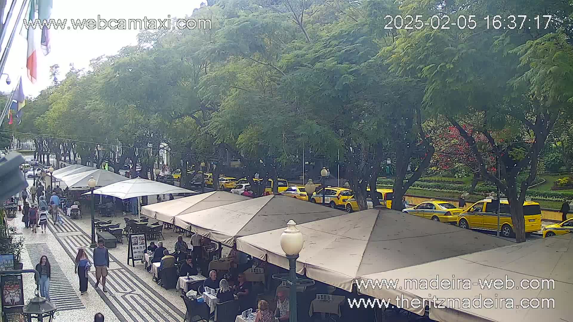 A city street scene under an overcast sky shows a line of yellow taxis parked along the curb next to outdoor cafe seating beneath beige umbrellas.