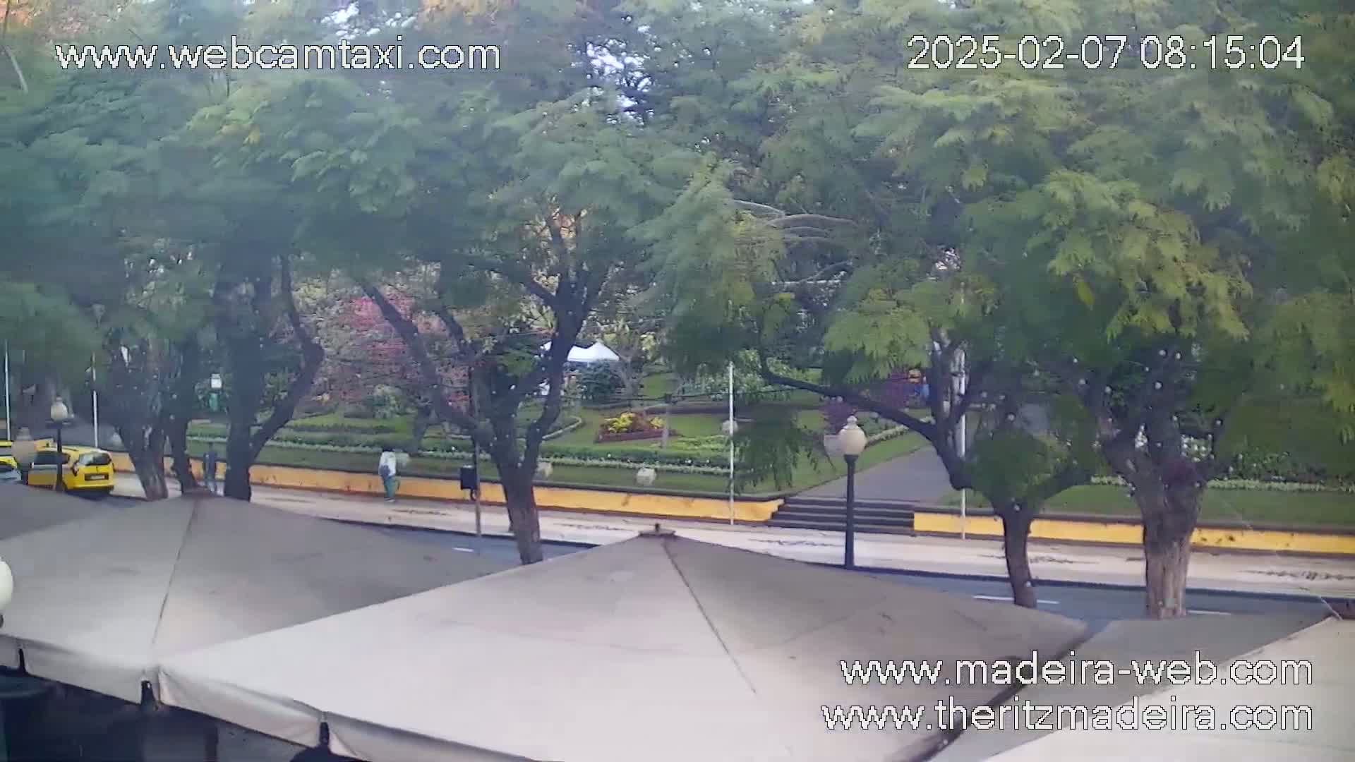 Ritz , Avenida Arriaga Avenue Live Cam - Funchal, Madeira, Portugal