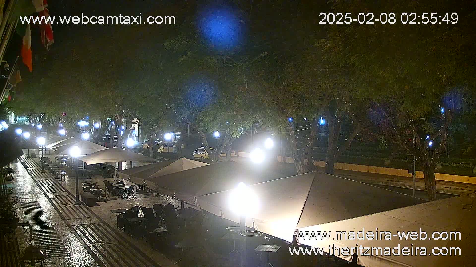 A wet, nighttime outdoor cafe scene with several covered patio tables and chairs under illuminated umbrellas, situated along a tree-lined street with sparsely visible vehicles.