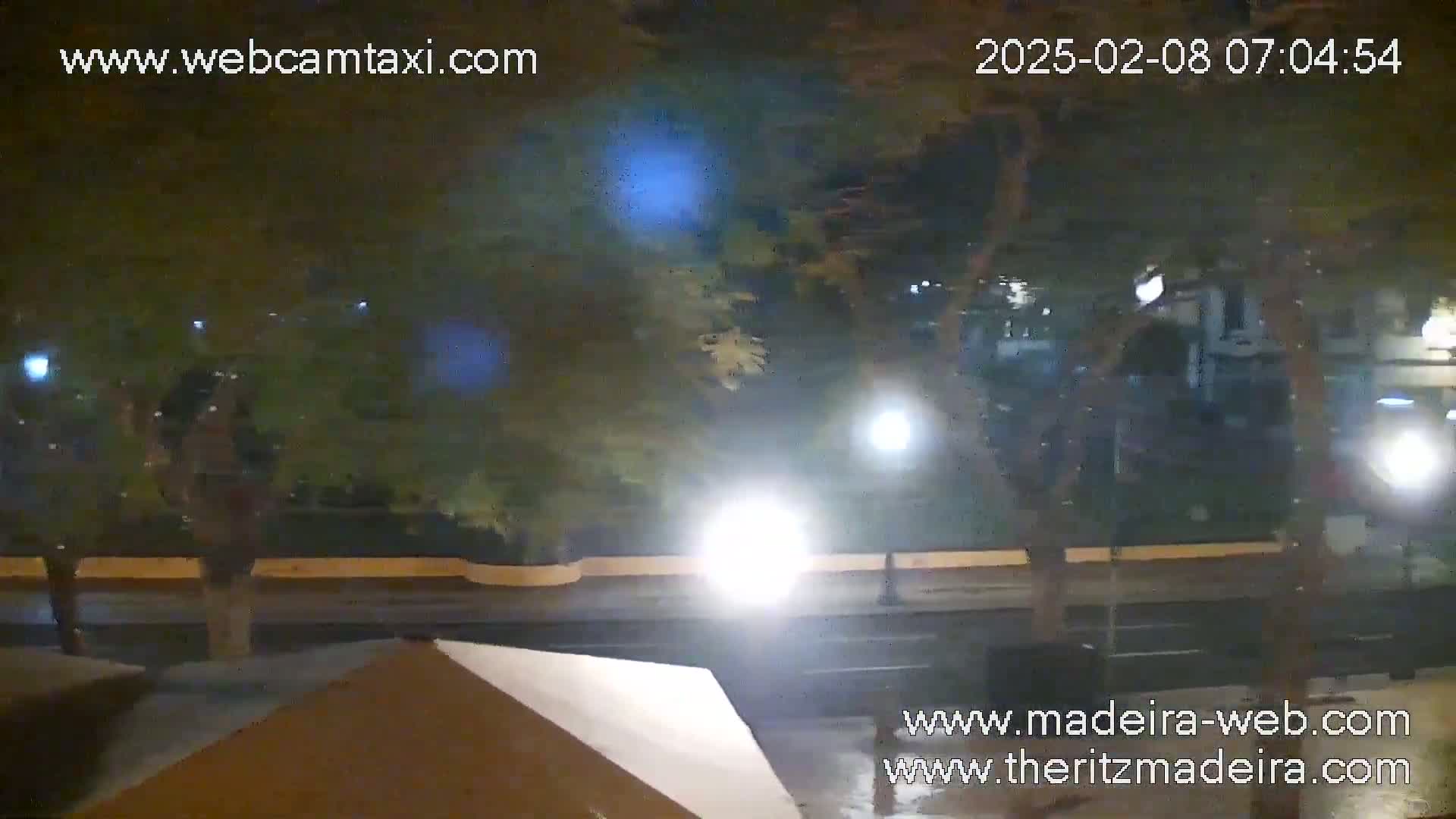 A nighttime street scene shows a wet road with trees and streetlights, possibly under light rain.
