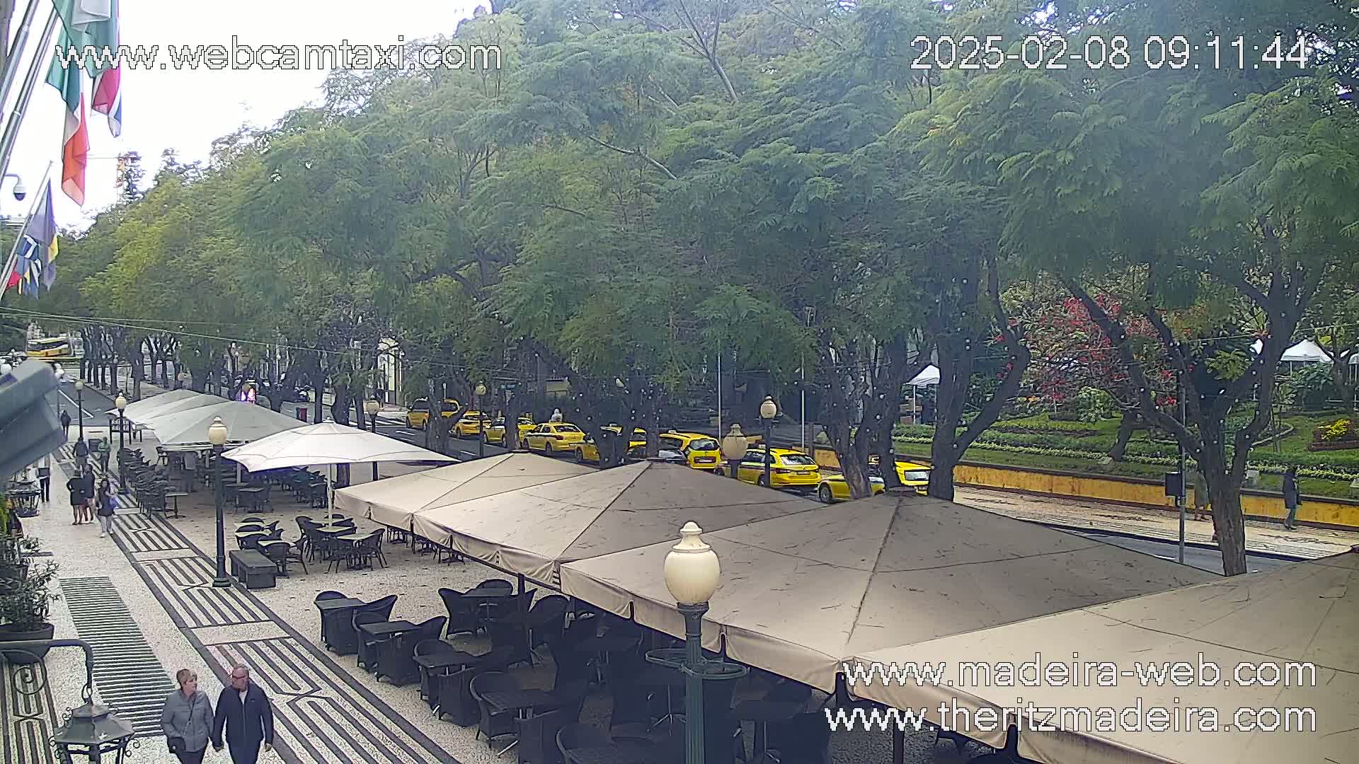 An outdoor cafe with several tan umbrellas and black patio furniture is situated on a patterned stone walkway next to a tree-lined street with yellow taxis parked along the curb, under an overcast sky.