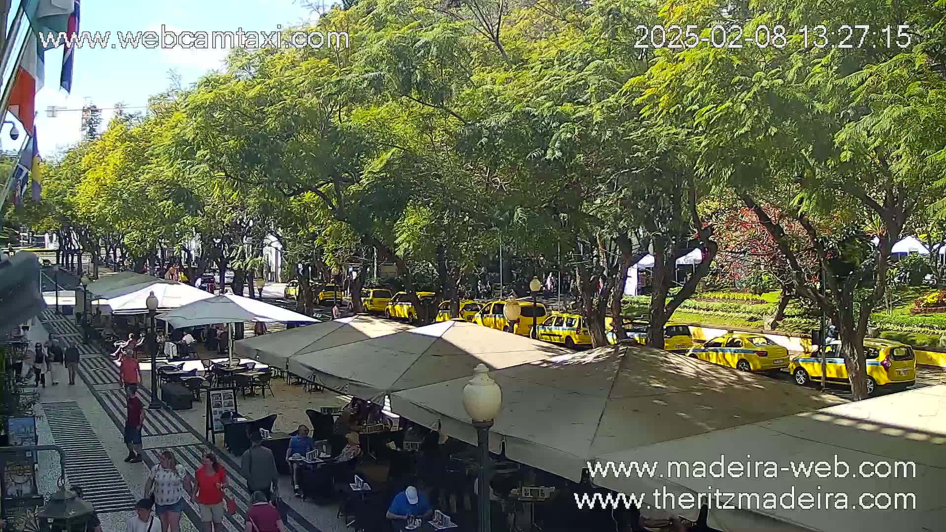 A sunny outdoor scene shows a paved pedestrian walkway lined with outdoor café seating, under a canopy of leafy green trees, with a row of yellow taxis parked along the street beyond.