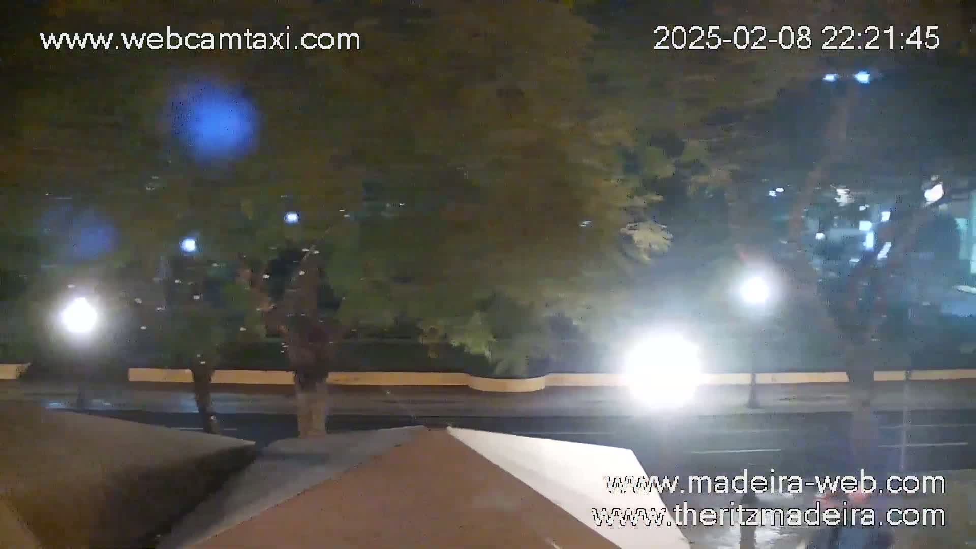 A nighttime, wet street scene shows a few people walking near trees and streetlights under slightly overcast conditions.