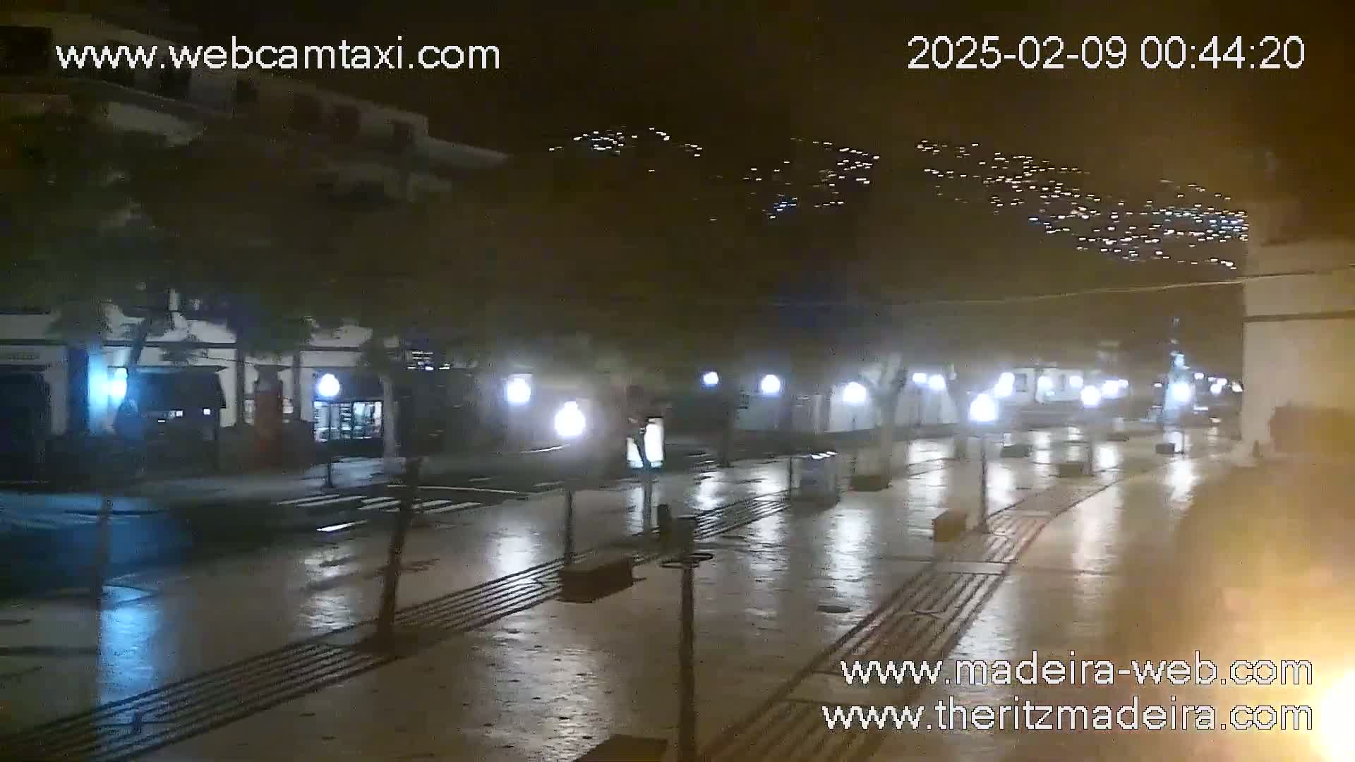 A wet, nighttime street scene shows a row of lights illuminating a mostly empty street and a hillside speckled with distant lights in the background.