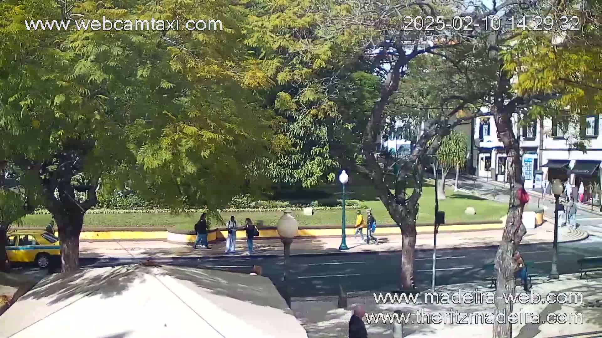 A sunny street scene shows several pedestrians walking near a grassy area with trees, a yellow taxi, and some buildings in the background.