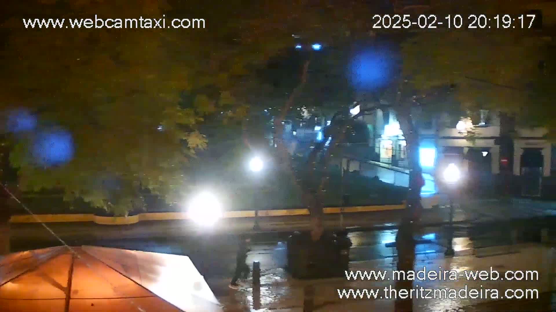 A nighttime street scene shows rain-slicked pavement reflecting streetlights, with a person walking near a partially visible orange canopy under trees in the rain.