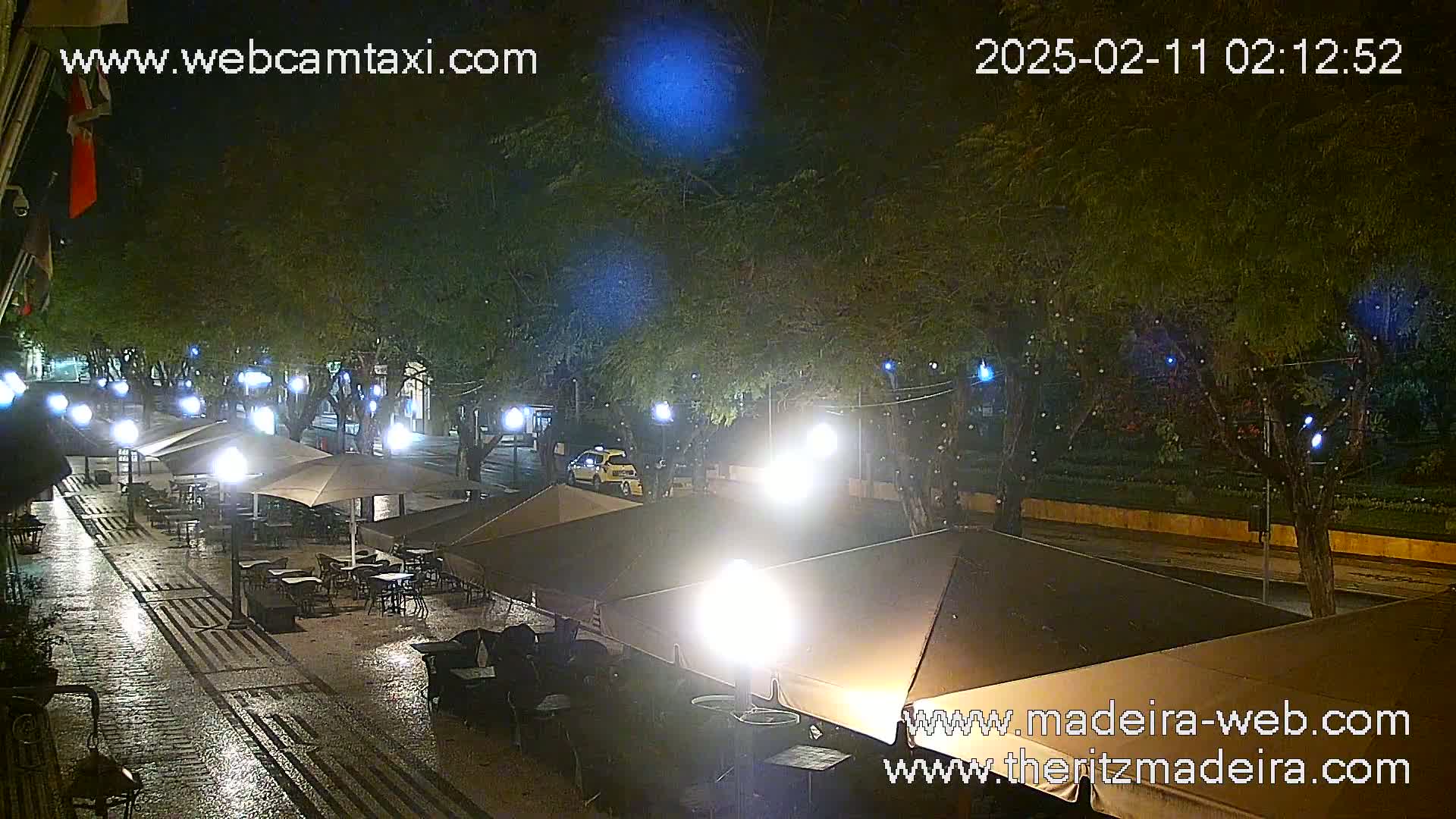 A rain-slicked nighttime street scene shows several outdoor café umbrellas under illuminated trees, with a few cars visible in the distance.