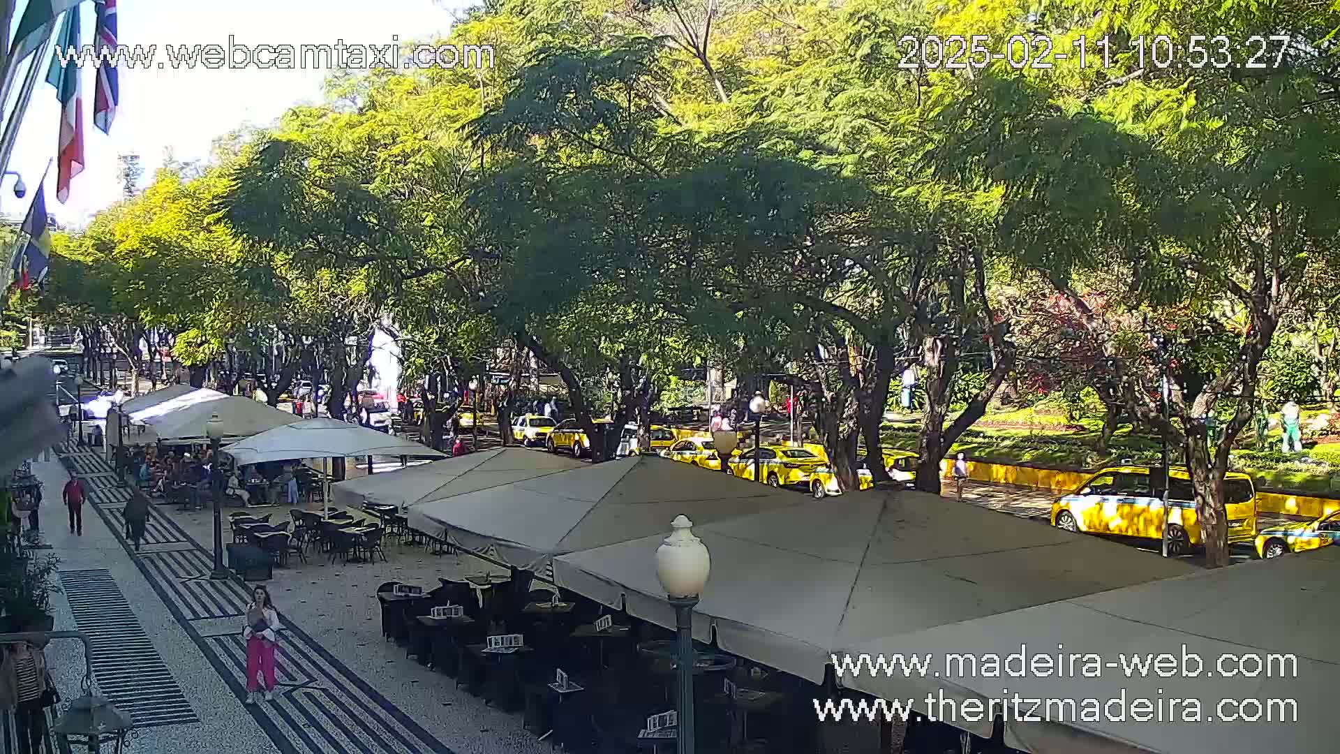 A sunny outdoor scene shows a paved pedestrian area with outdoor seating under umbrellas, several yellow taxis parked along a tree-lined street, and people walking.