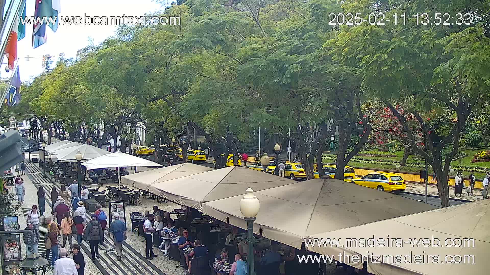 An outdoor cafe scene with multiple yellow taxis parked along a tree-lined street on a partly cloudy day.