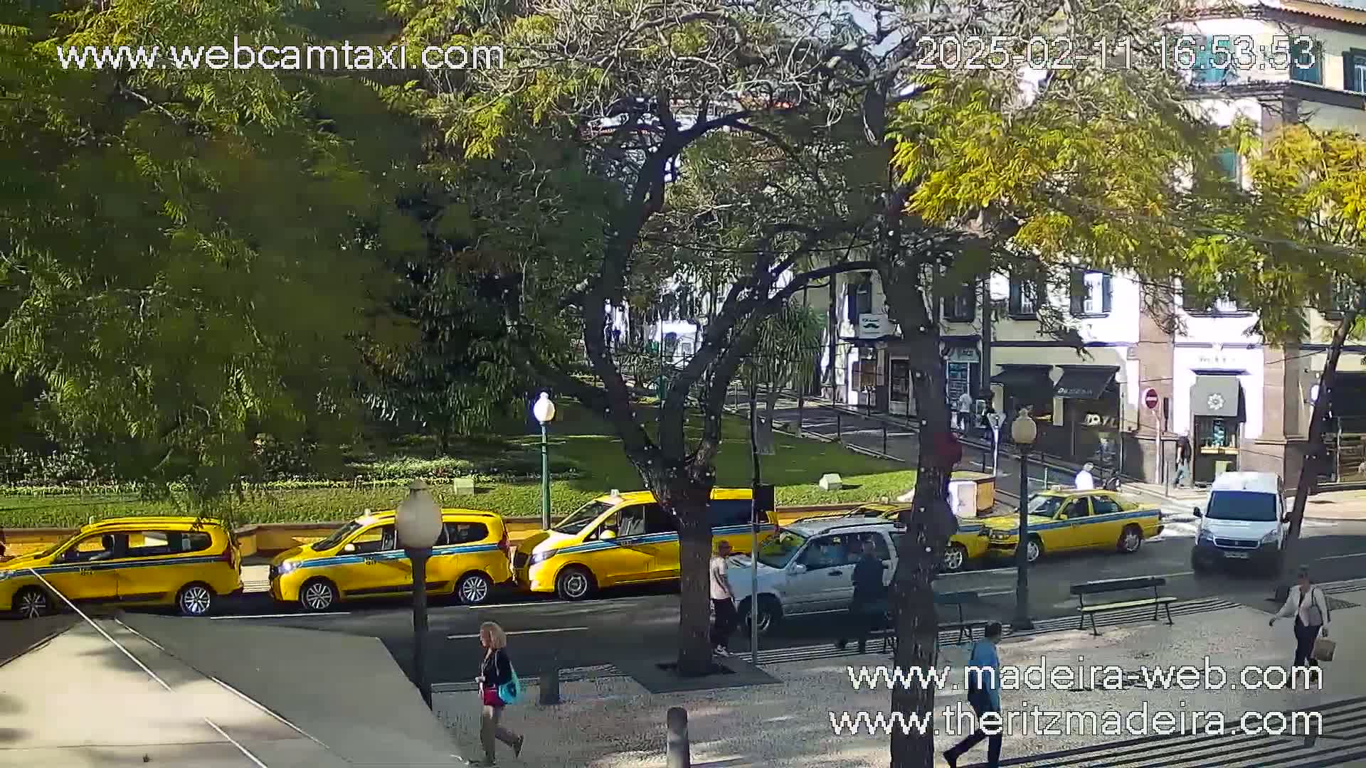 Several yellow taxis and other vehicles are parked along a city street on a sunny day, near a small park with trees and buildings in the background.