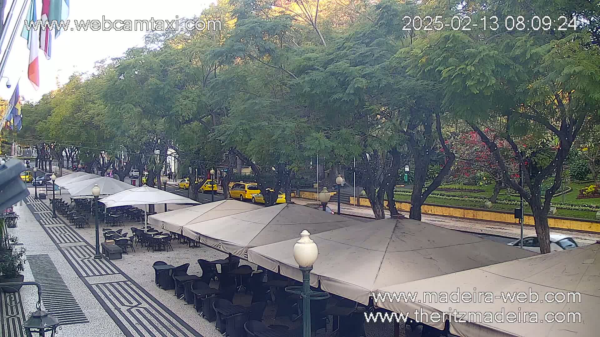 An outdoor cafe with several patio umbrellas sits on a cobblestone street lined with trees, and a few yellow taxis are visible in the distance.