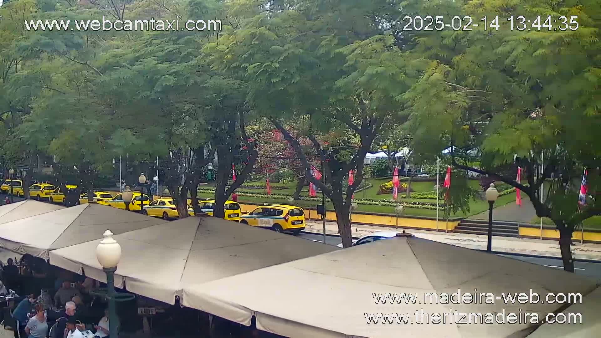 A row of yellow taxis is parked on a street next to outdoor cafe seating under an overcast sky.