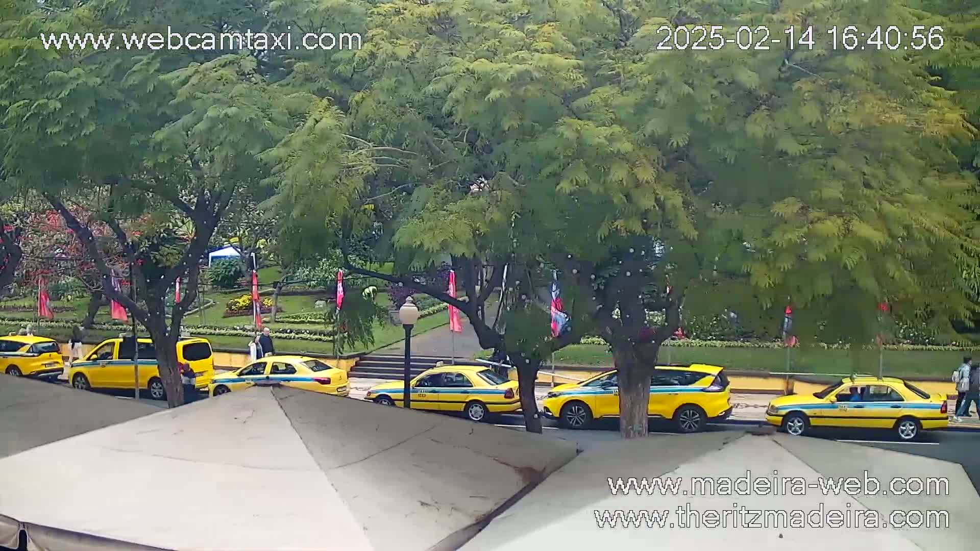 Several yellow taxis are parked along a tree-lined street next to a park under a partly cloudy sky.
