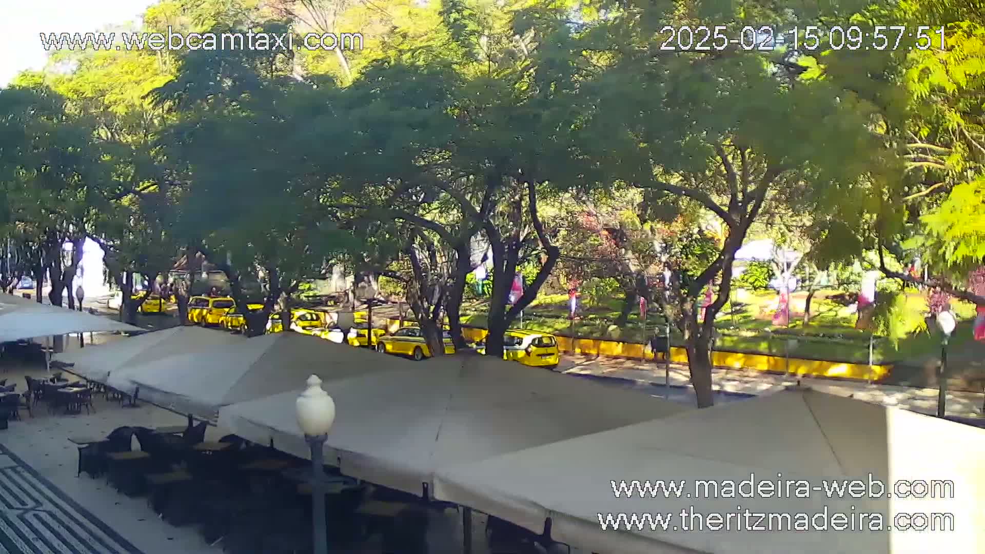 A sunny outdoor scene shows several yellow taxis parked along a tree-lined street next to a sidewalk with outdoor café seating under beige umbrellas.