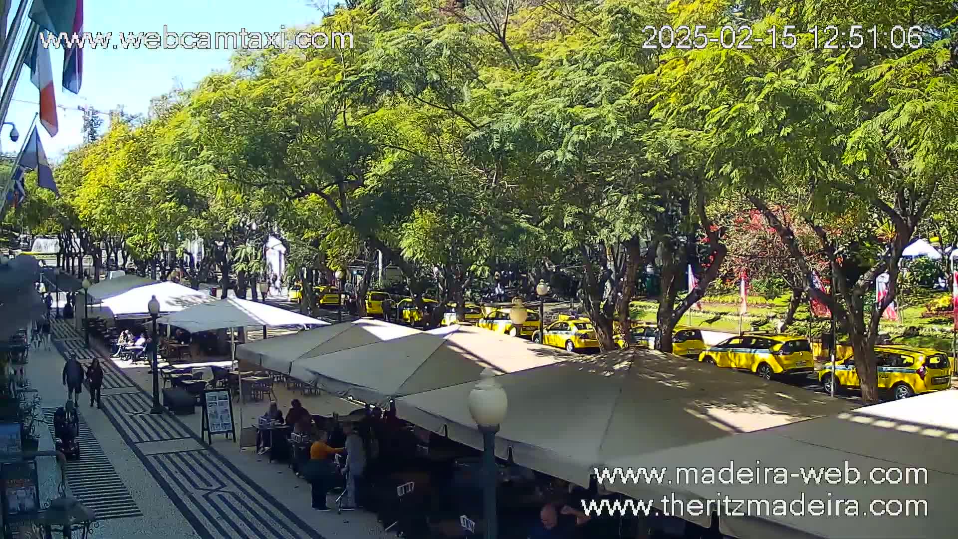 A sunny outdoor scene shows a pedestrian walkway lined with outdoor cafe seating under white canopies, next to a street with a row of yellow taxis parked along the curb, all situated beneath a canopy of lush green trees.