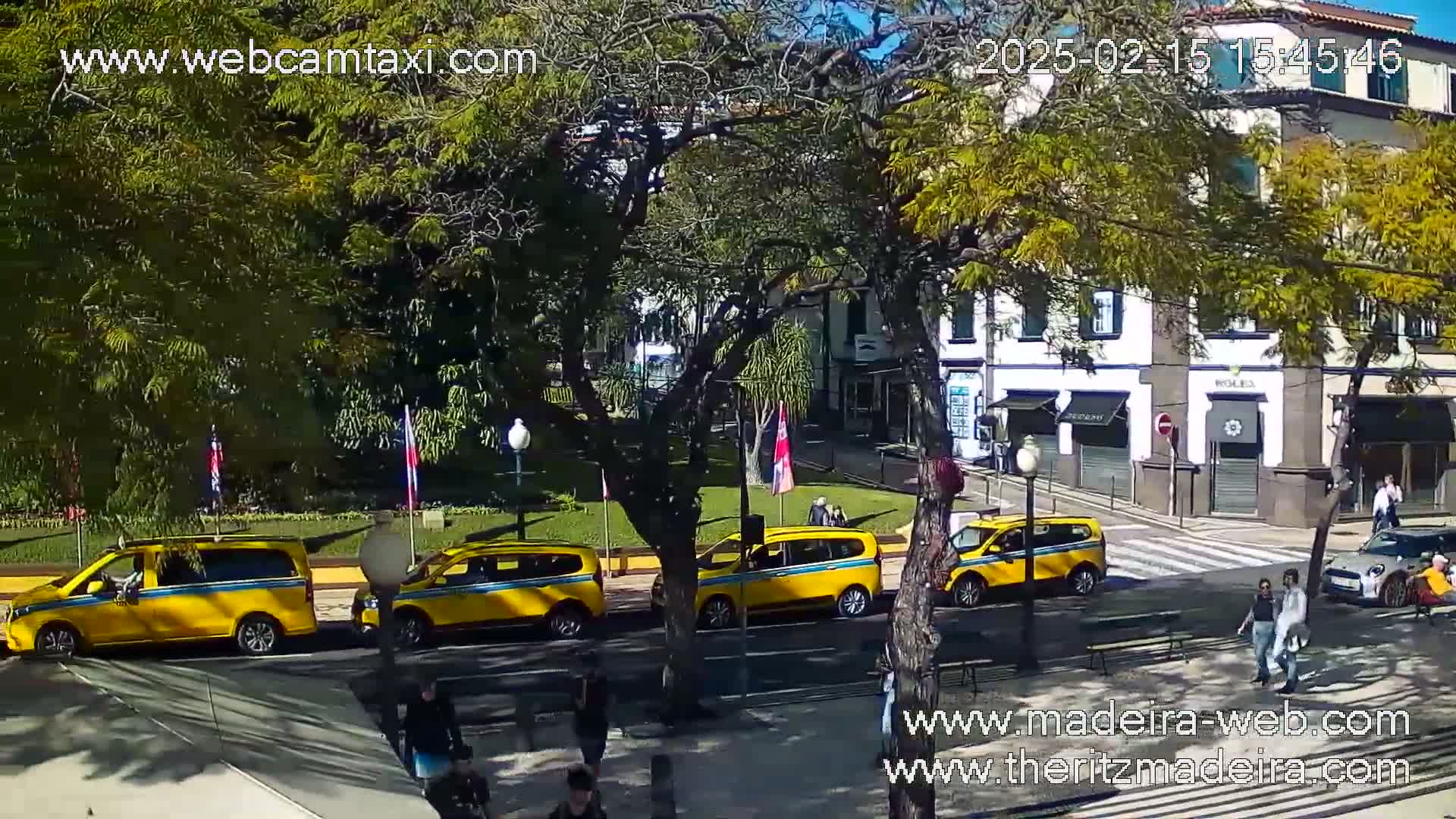 Four yellow minivans are parked in a sunny town square next to leafy trees and buildings.