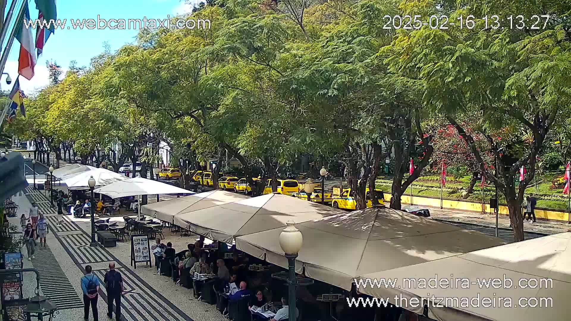 A sunny outdoor scene shows a paved pedestrian area lined with outdoor cafe seating under beige umbrellas, with a row of yellow taxis parked along a street bordered by leafy green trees.