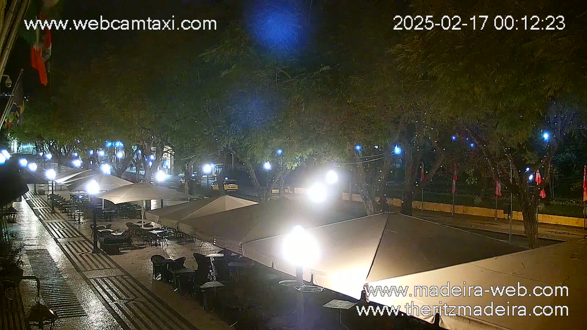 A rain-slicked, nighttime outdoor cafe scene under illuminated trees with several umbrellas and tables set up.