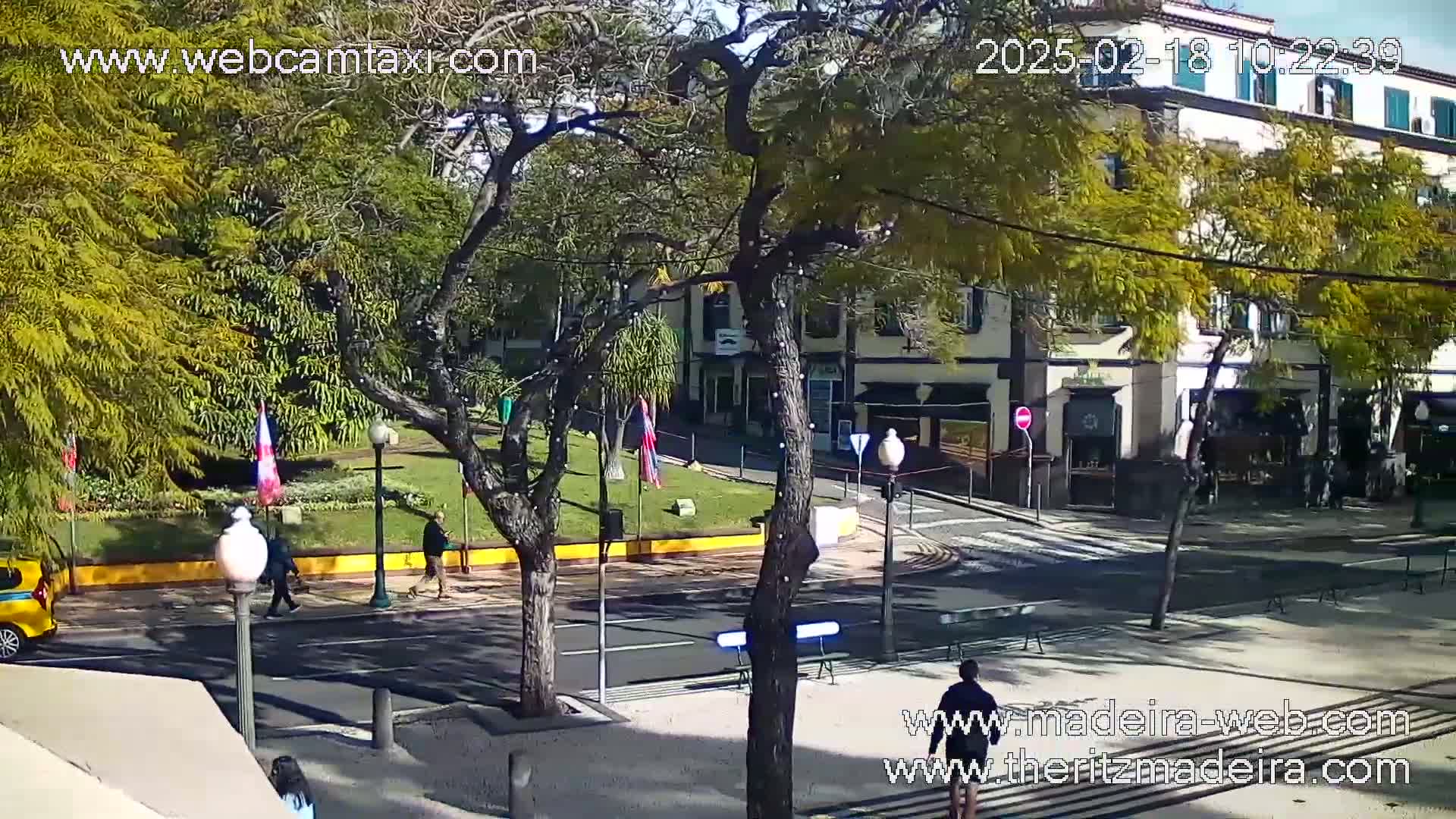 A sunny street scene shows a small town square with pedestrians, cars, and trees, alongside a two-story building.