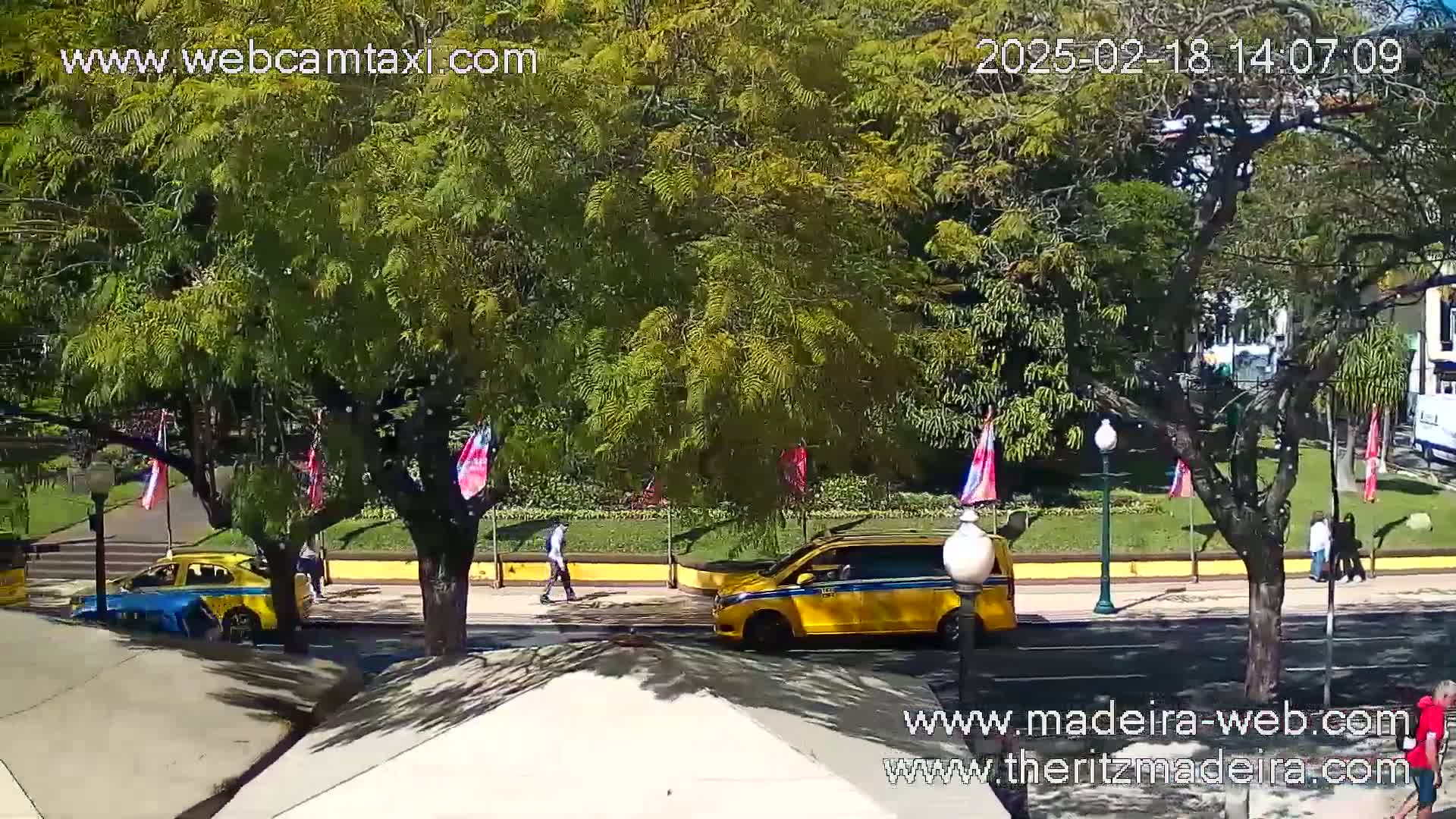 A sunny street scene shows two yellow taxis and a yellow van parked along a curb next to a grassy area with several trees and small flags.