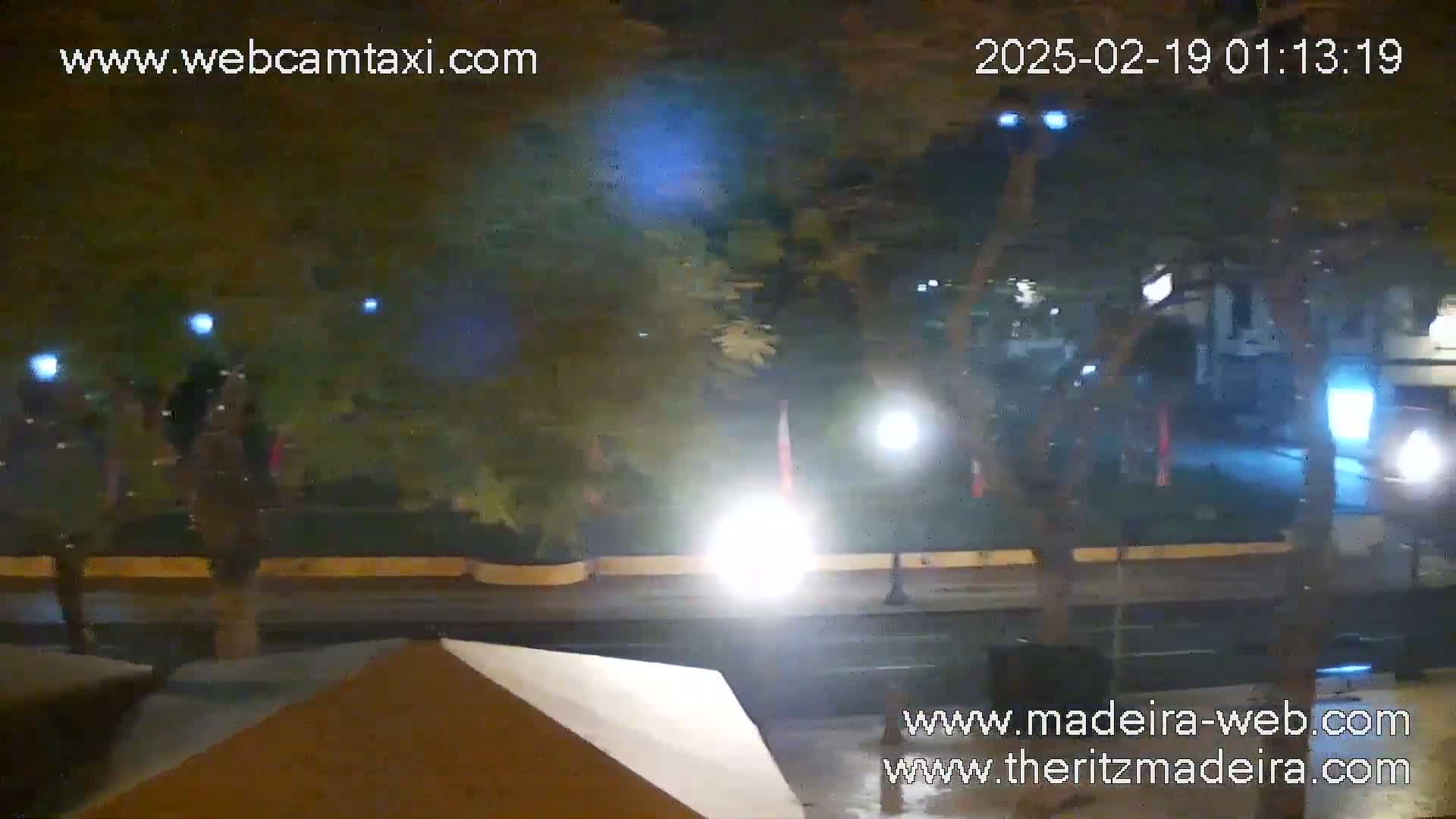 A nighttime street scene shows a roadway lined with trees and streetlights, with a vehicle's headlights illuminating the area.