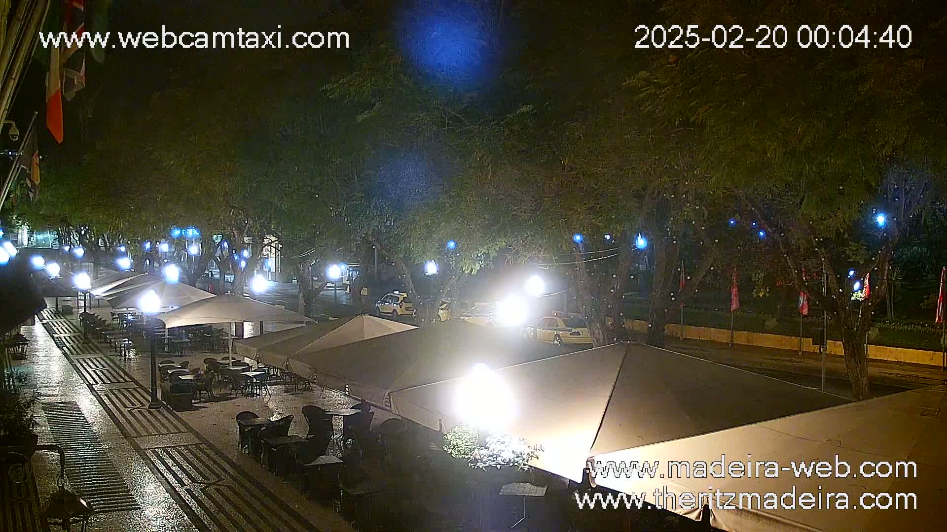 A nighttime outdoor scene shows a paved area with several outdoor cafe umbrellas and tables under the cover of trees strung with lights, with cars parked on a nearby street.