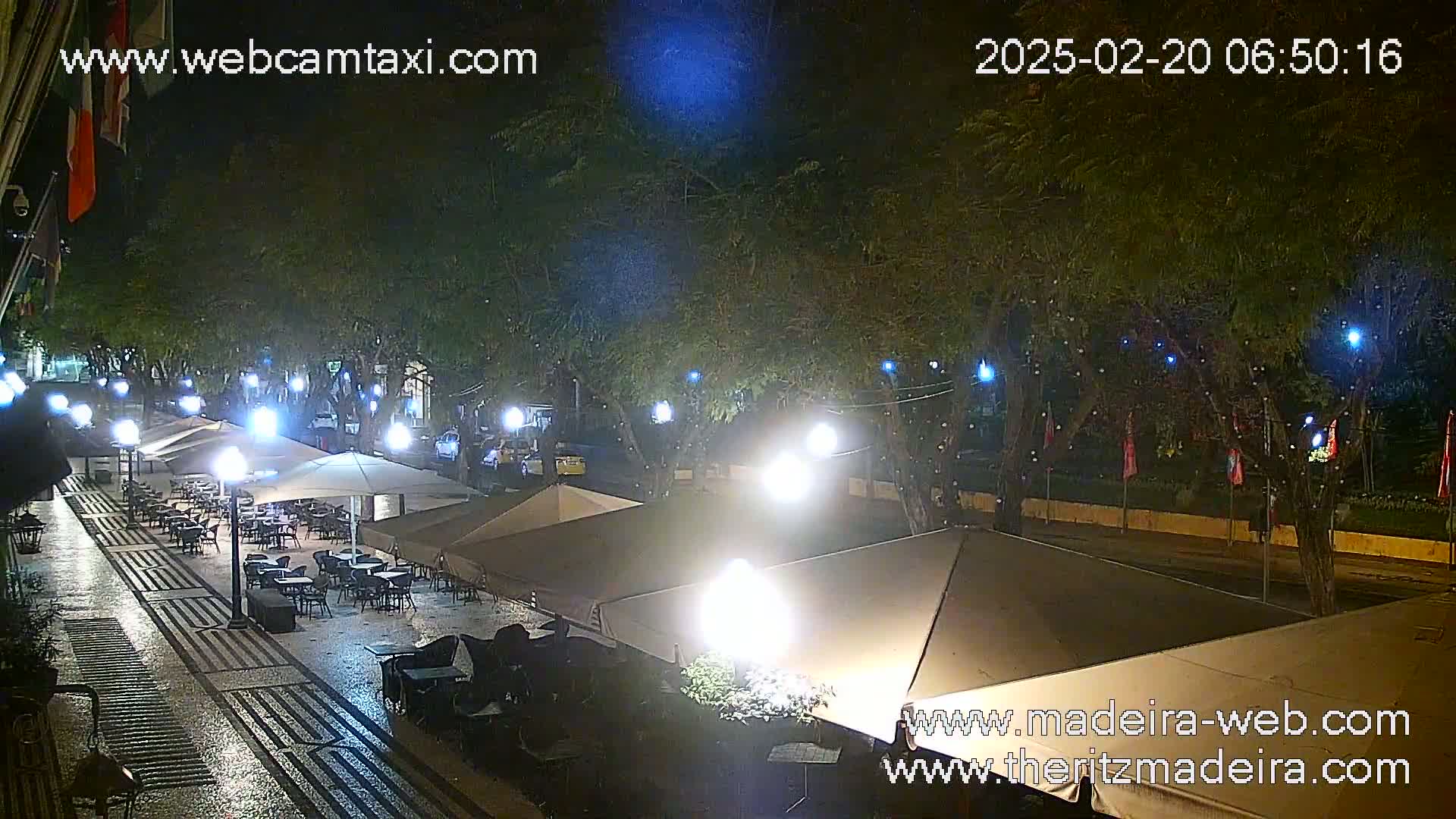A nighttime outdoor scene shows a paved area with several outdoor cafe umbrellas and tables under trees decorated with string lights, lit by street lamps and cafe lights, with a wet surface suggesting recent rain.