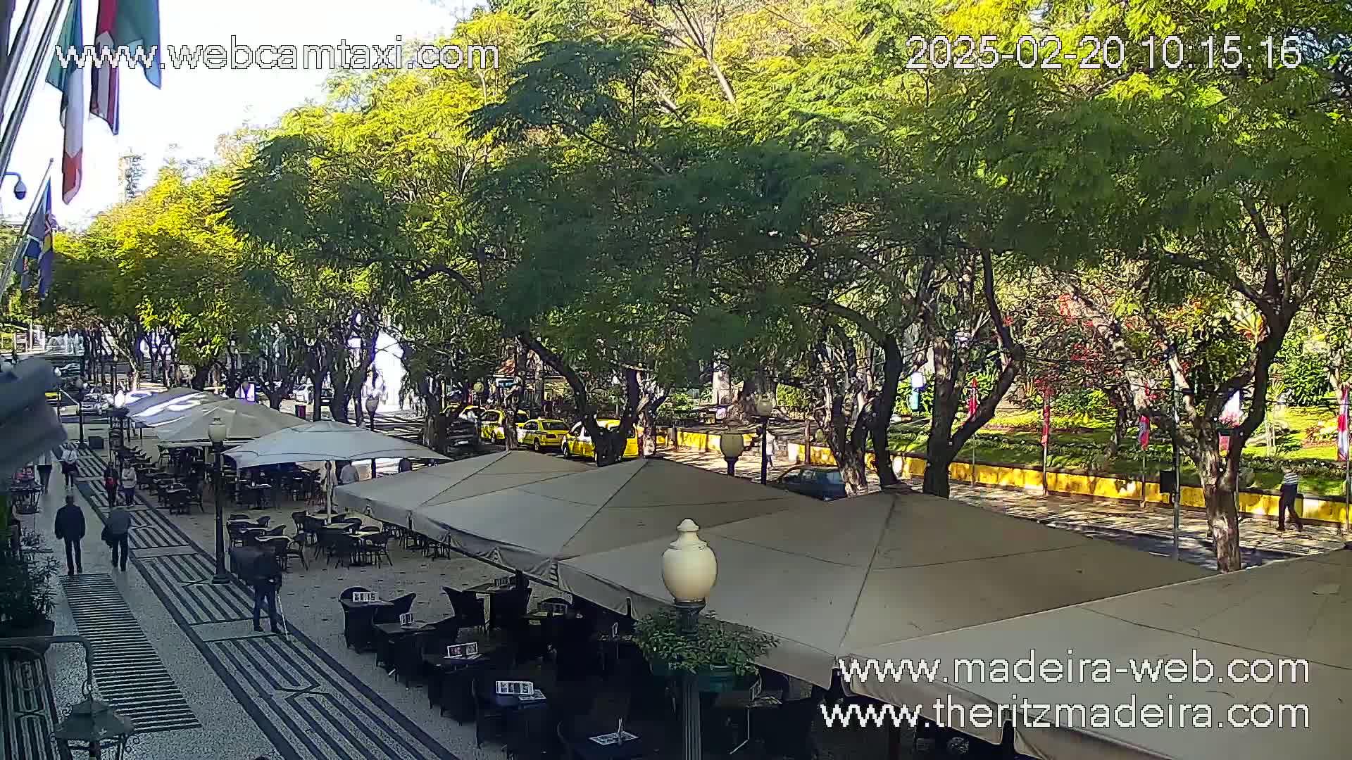 A sunny outdoor scene shows a paved pedestrian area with several cafe umbrellas, tables and chairs, and a few people walking past, all situated under leafy green trees lining a street with parked yellow taxis.
