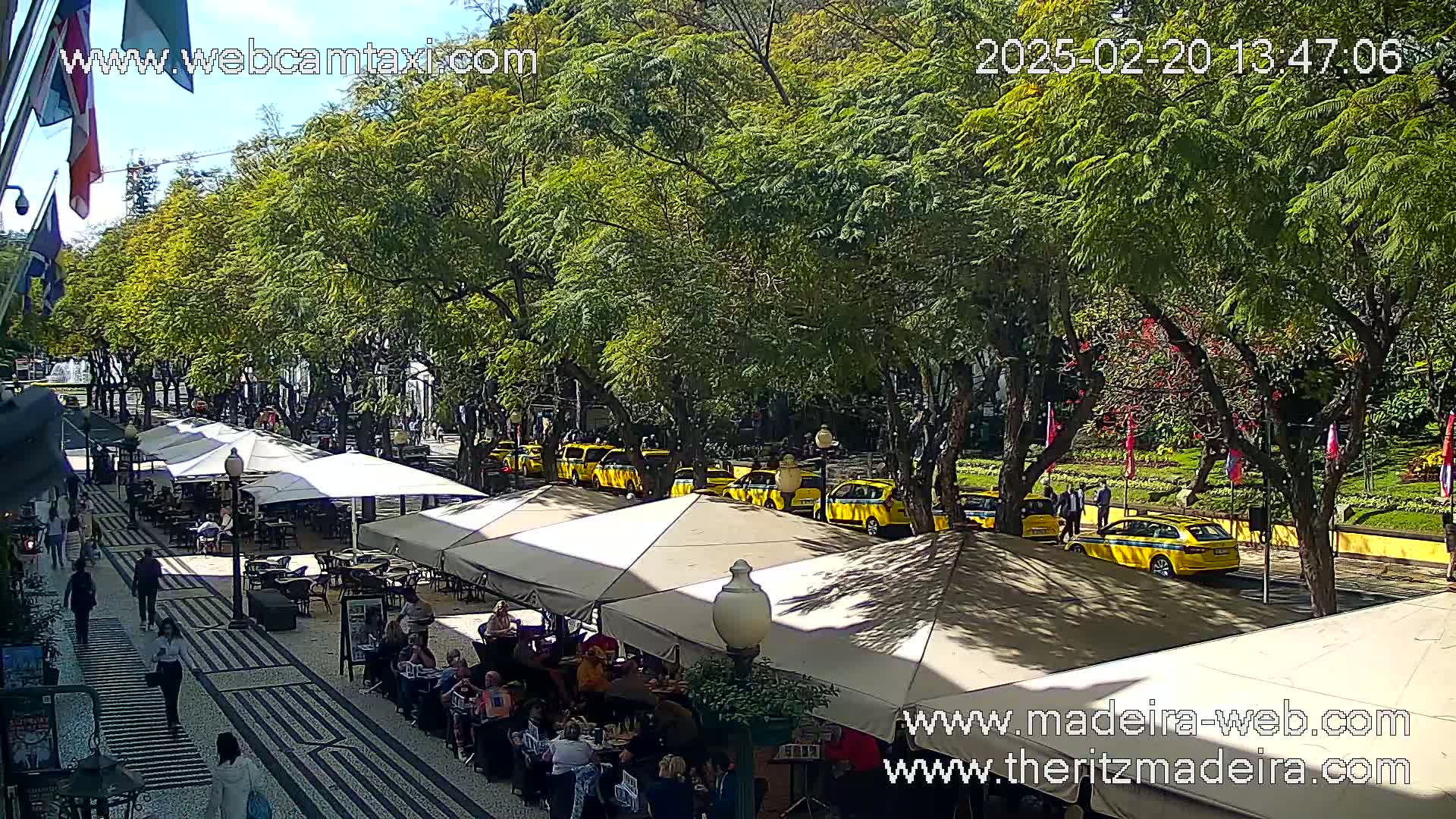 A sunny outdoor scene shows a sidewalk cafe with many patrons sitting under white umbrellas, yellow taxis lined up along a tree-lined street, and people walking along a paved walkway.