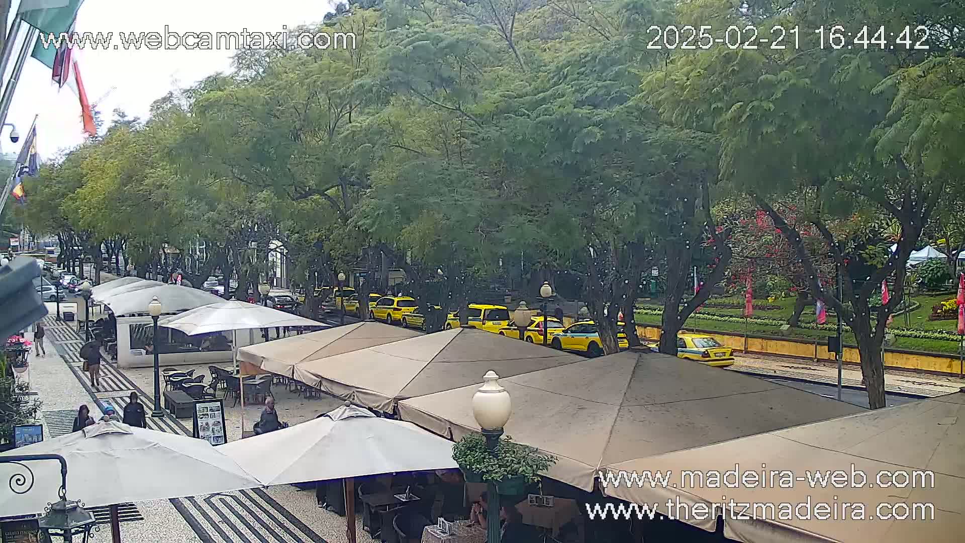 A lightly overcast outdoor scene shows a paved pedestrian area with outdoor cafe seating under umbrellas, lined with several yellow taxis parked along a tree-lined street.
