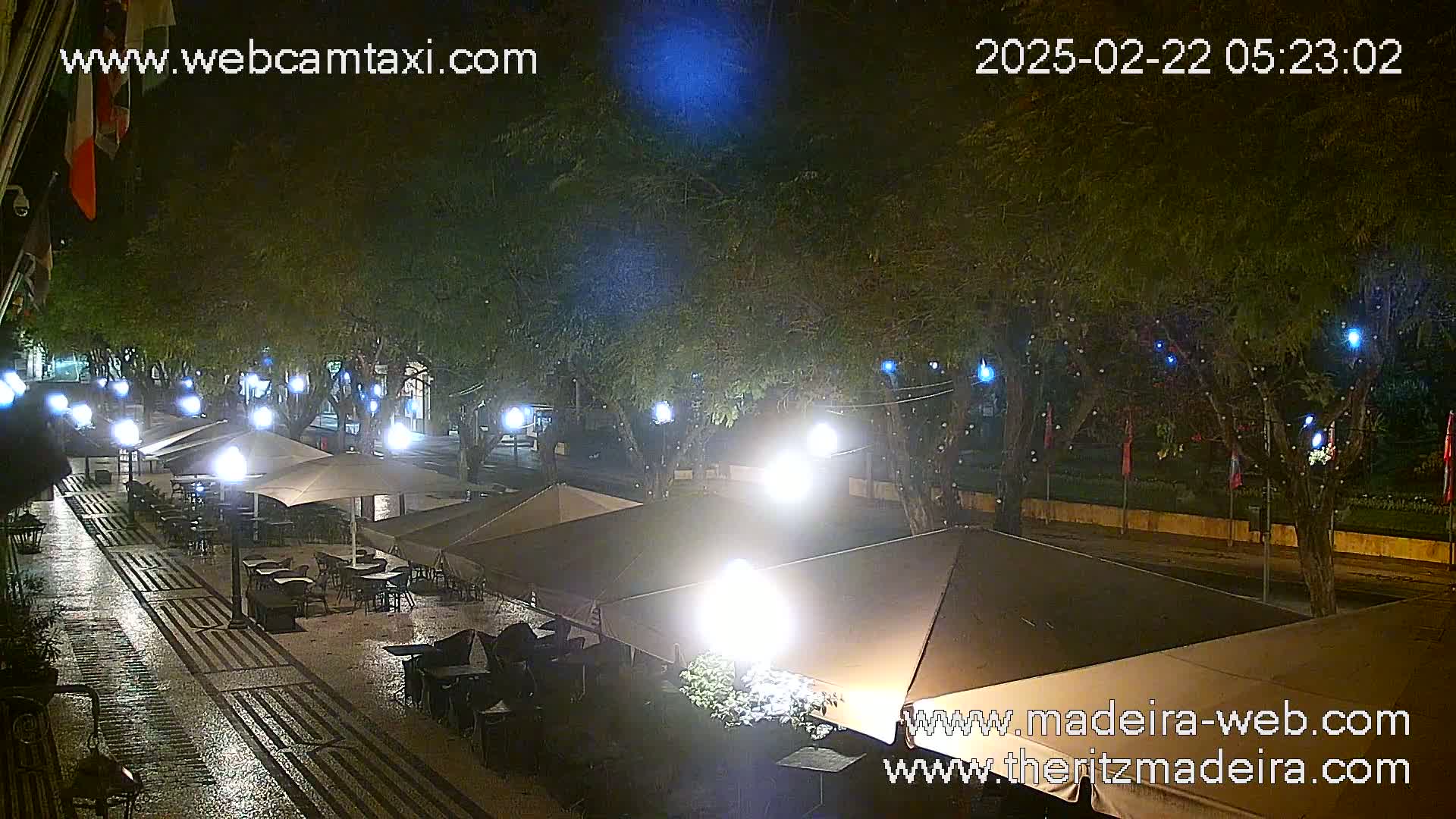 A nighttime view of a wet, paved outdoor area with several closed umbrellas over empty tables and chairs under illuminated trees.