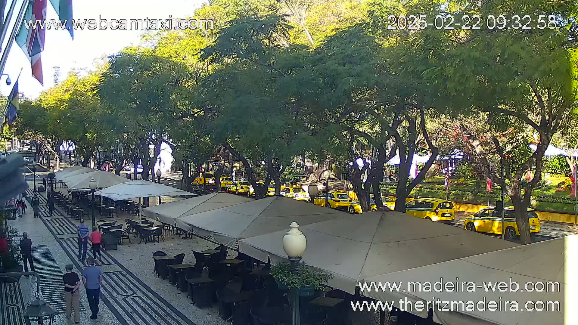 A sunny outdoor scene shows a paved pedestrian area with outdoor cafe seating under umbrellas, alongside a street lined with trees and several yellow taxis parked.