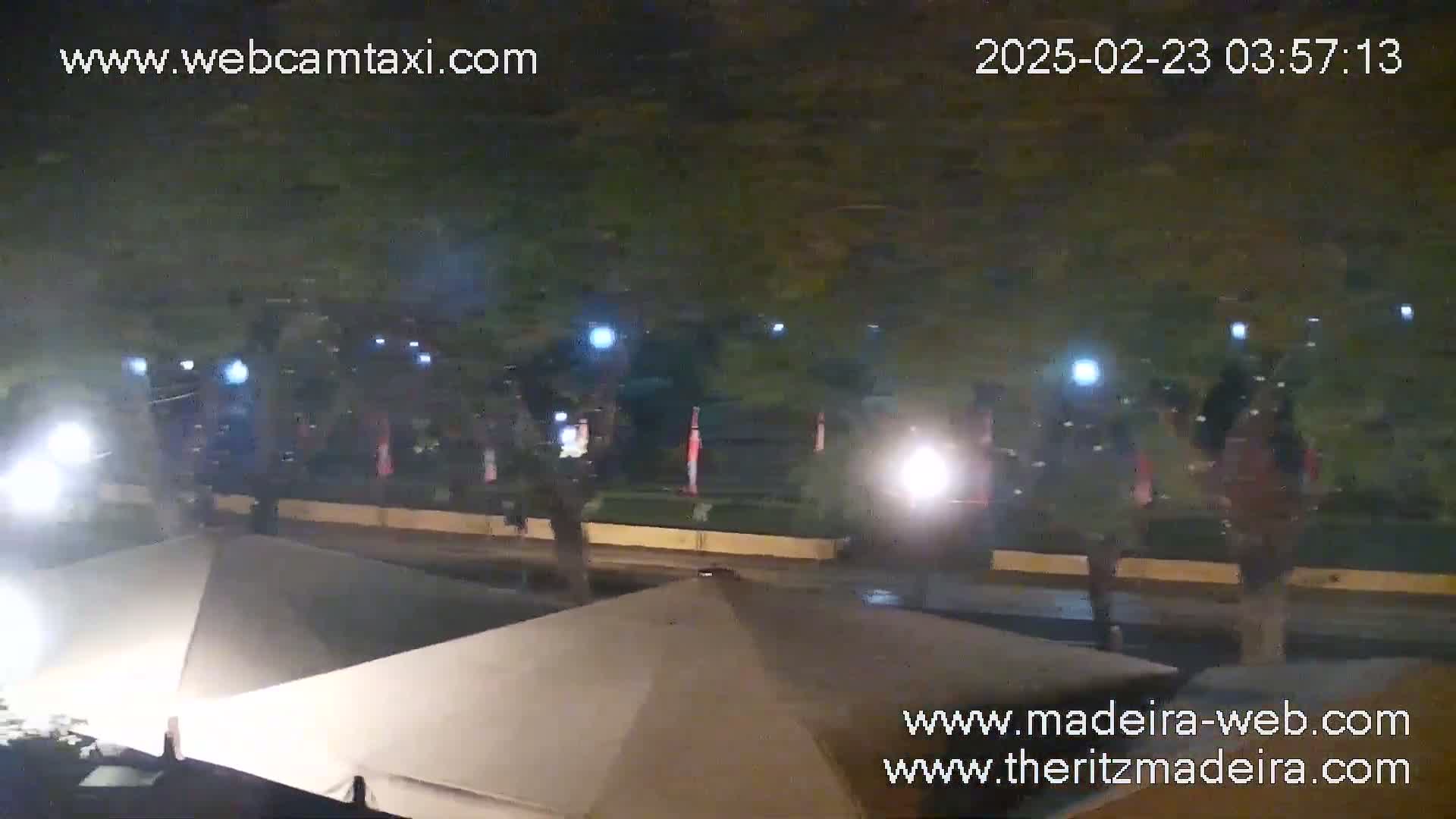 At night, several people walk along a roadway lined with trees and lights, near a patio with umbrellas.