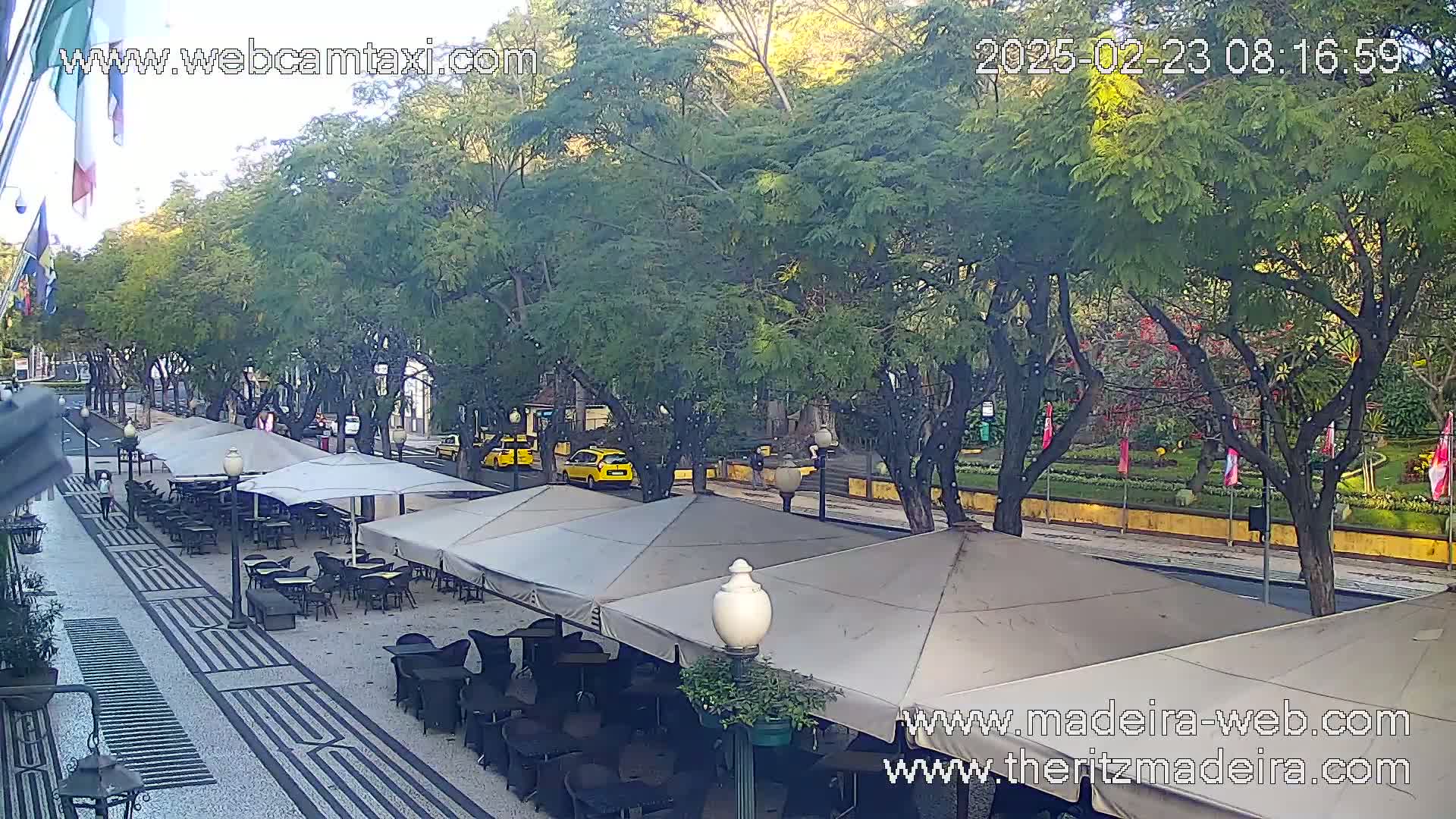 An outdoor cafe with several umbrellas sits on a paved pedestrian walkway lined with trees, next to a street with a few cars visible on a partly sunny day.