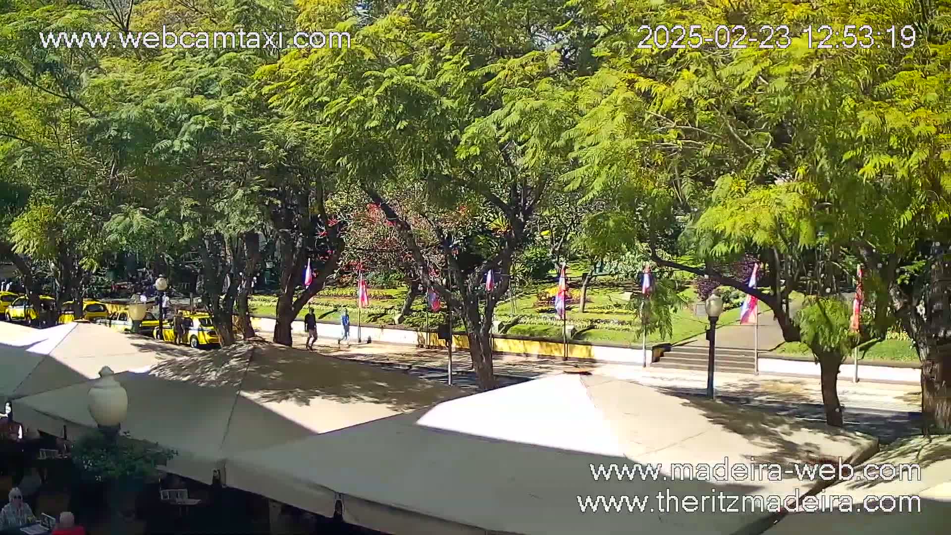 A sunny day shows a paved walkway lined with small yellow cars parked near outdoor cafe seating, under leafy green trees and next to a landscaped garden with flags.