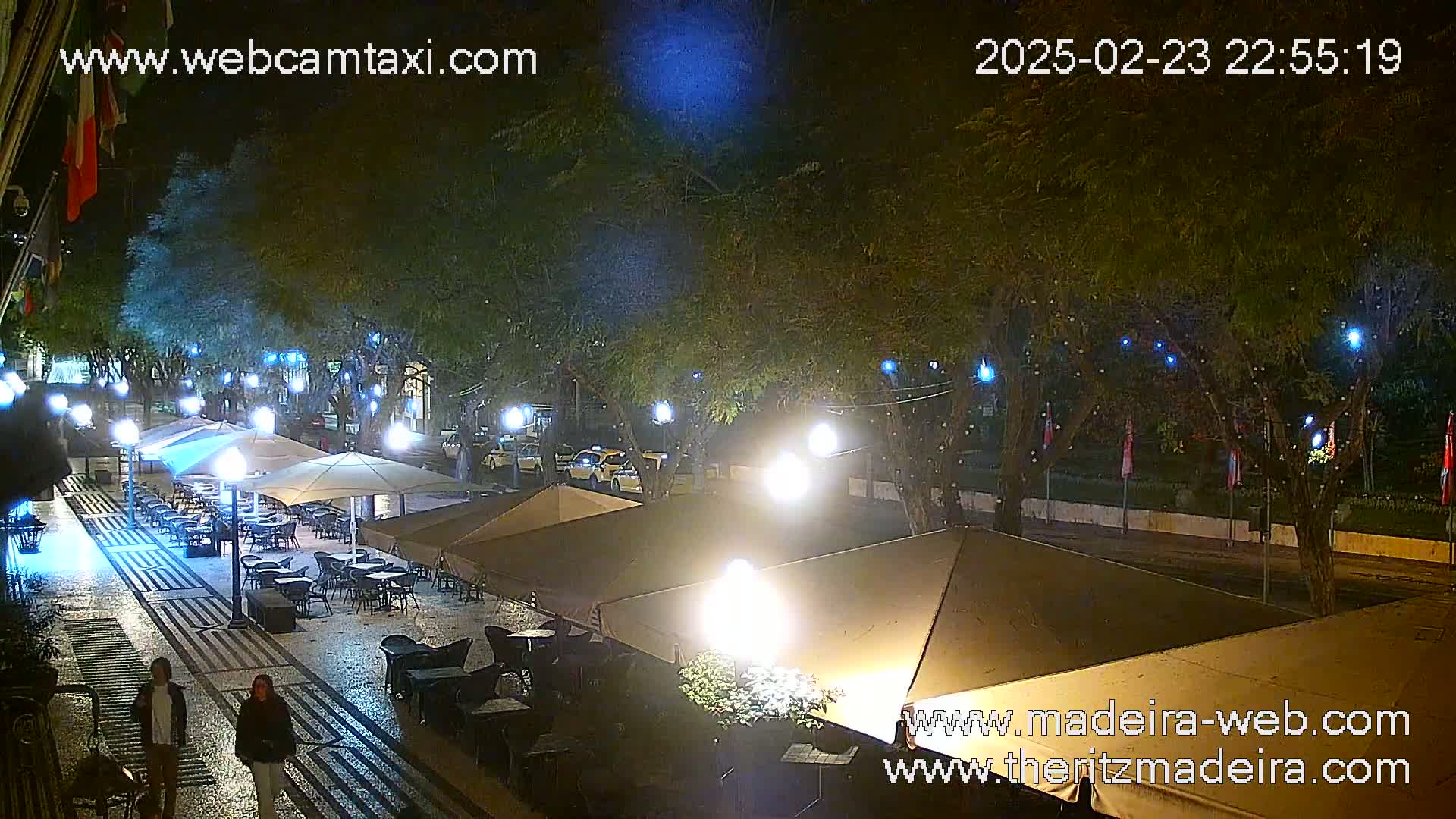 A nighttime view of an outdoor cafe with patrons sitting at tables under umbrellas, illuminated by streetlights and overhead lights strung along trees.