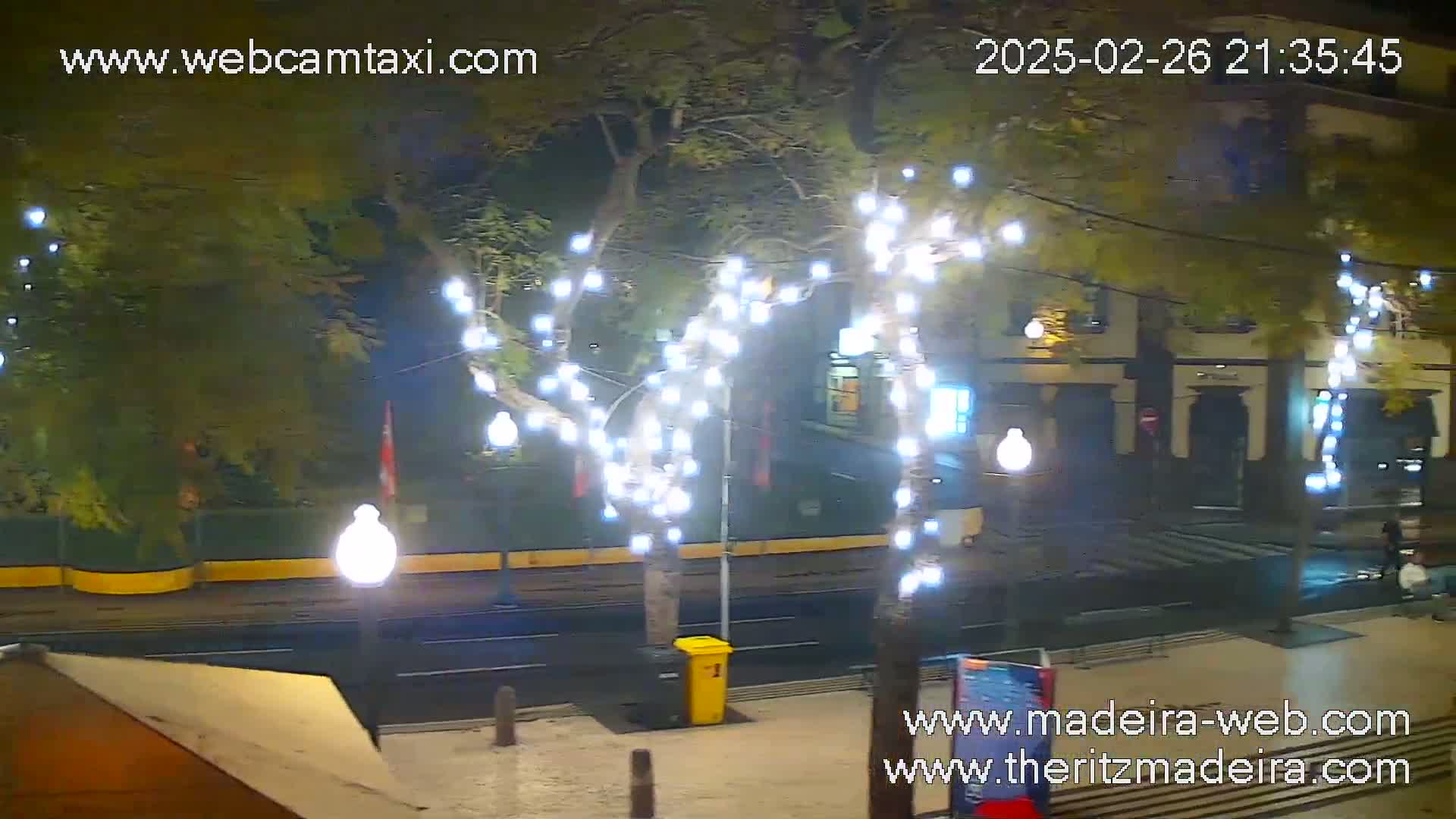 A nighttime street scene shows trees decorated with white lights, a mostly empty street, and a few buildings in the background.