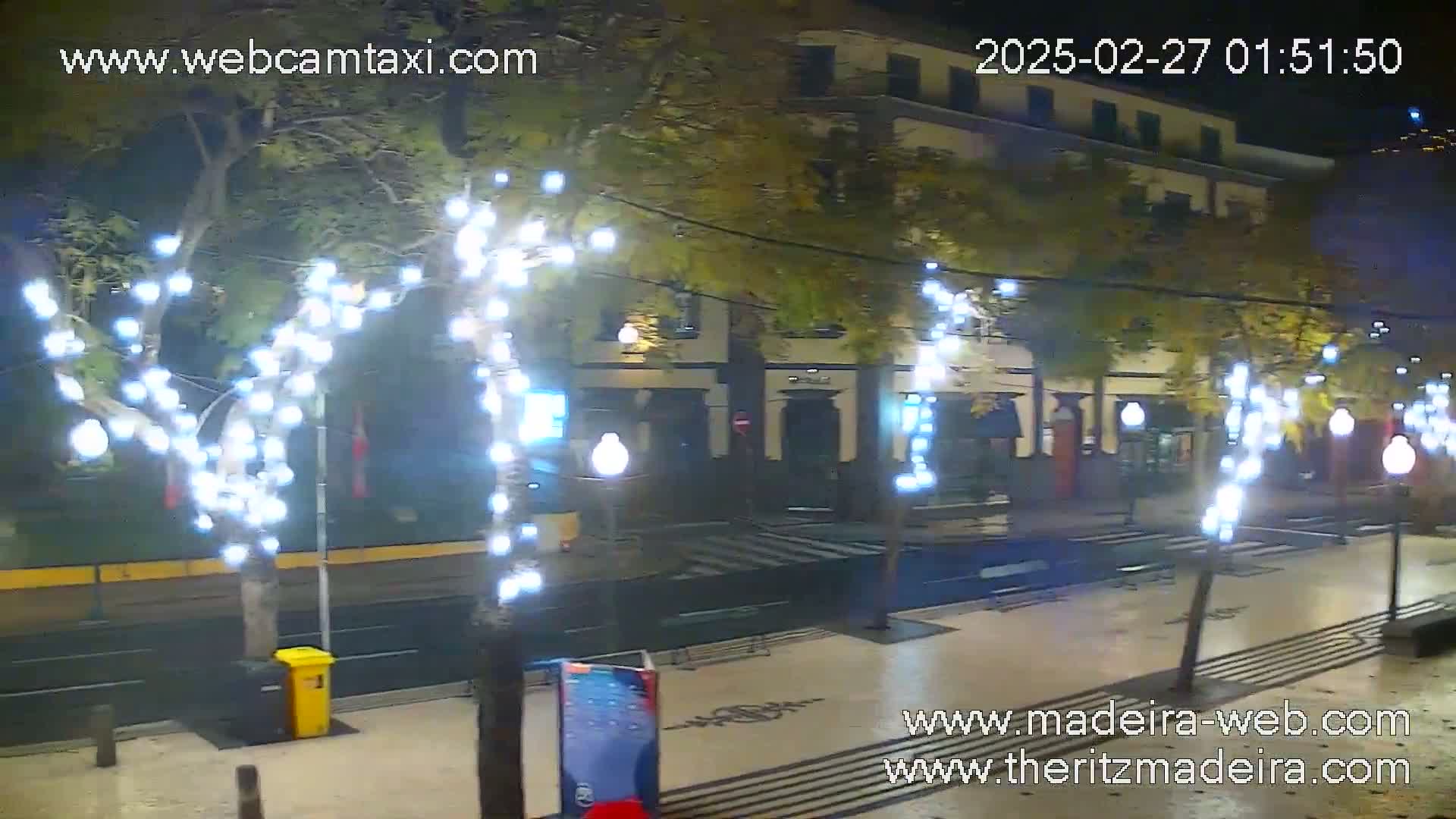 Trees with white lights are strung along a wet city street at night, in front of a building.