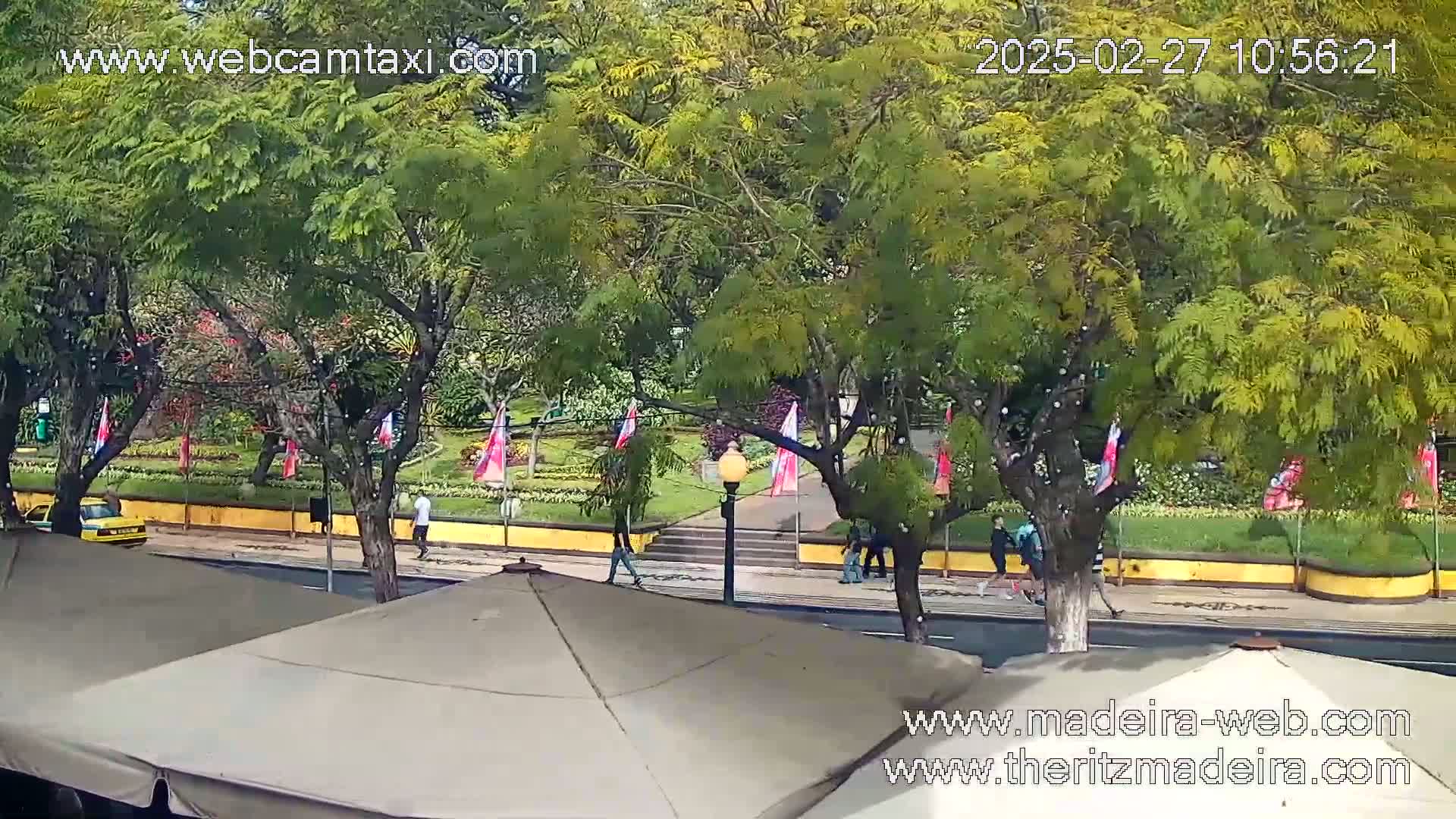 A street scene viewed from above shows a park with lush green trees, a yellow car, several pedestrians walking, and outdoor patio umbrellas in the foreground under a sunny sky.