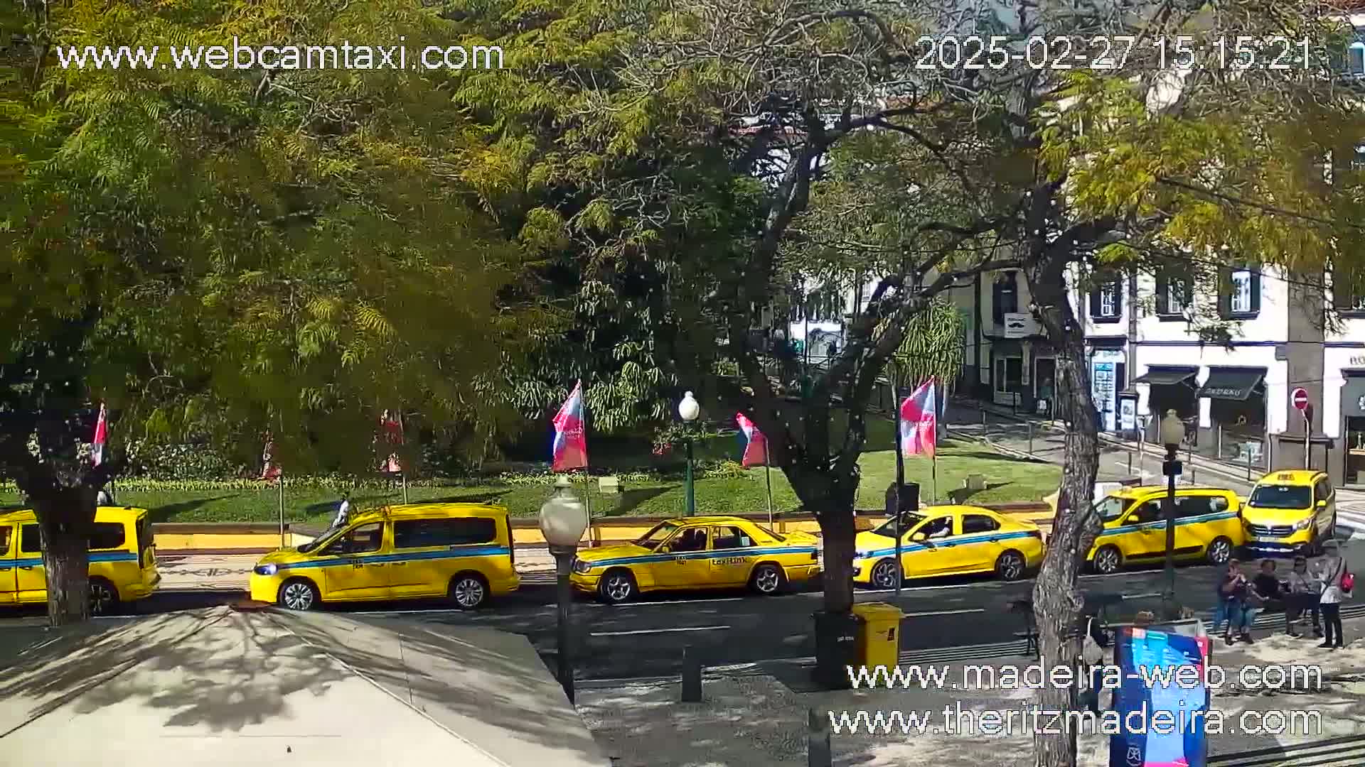 A sunny day reveals several yellow taxis parked along a city street, near a small grassy area with flags, under leafy green trees.