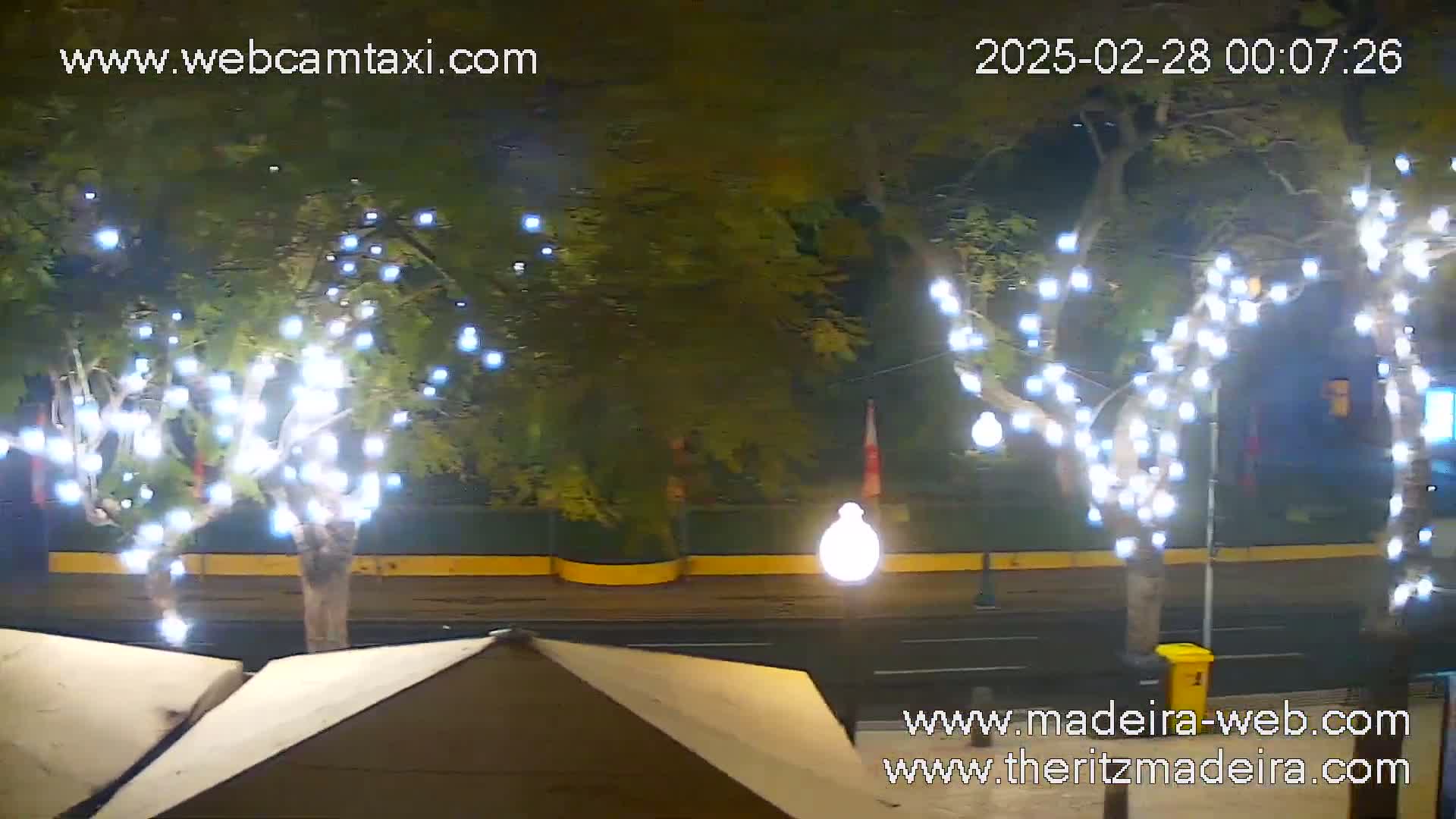 A nighttime street scene shows two trees decorated with white string lights, a partially visible roadway, and portions of outdoor umbrellas, under a clear night sky.