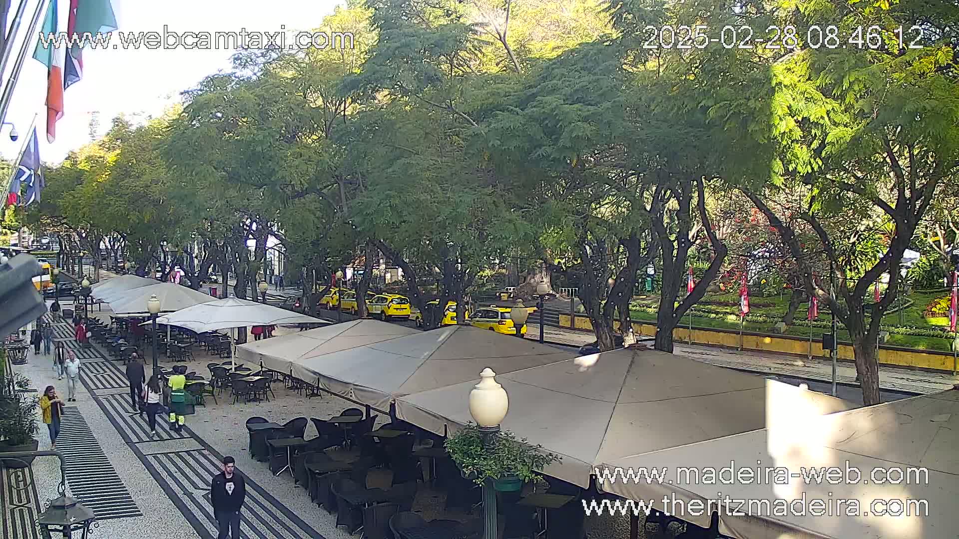 A sunny outdoor cafe scene with several yellow taxis parked on a street lined with leafy green trees.