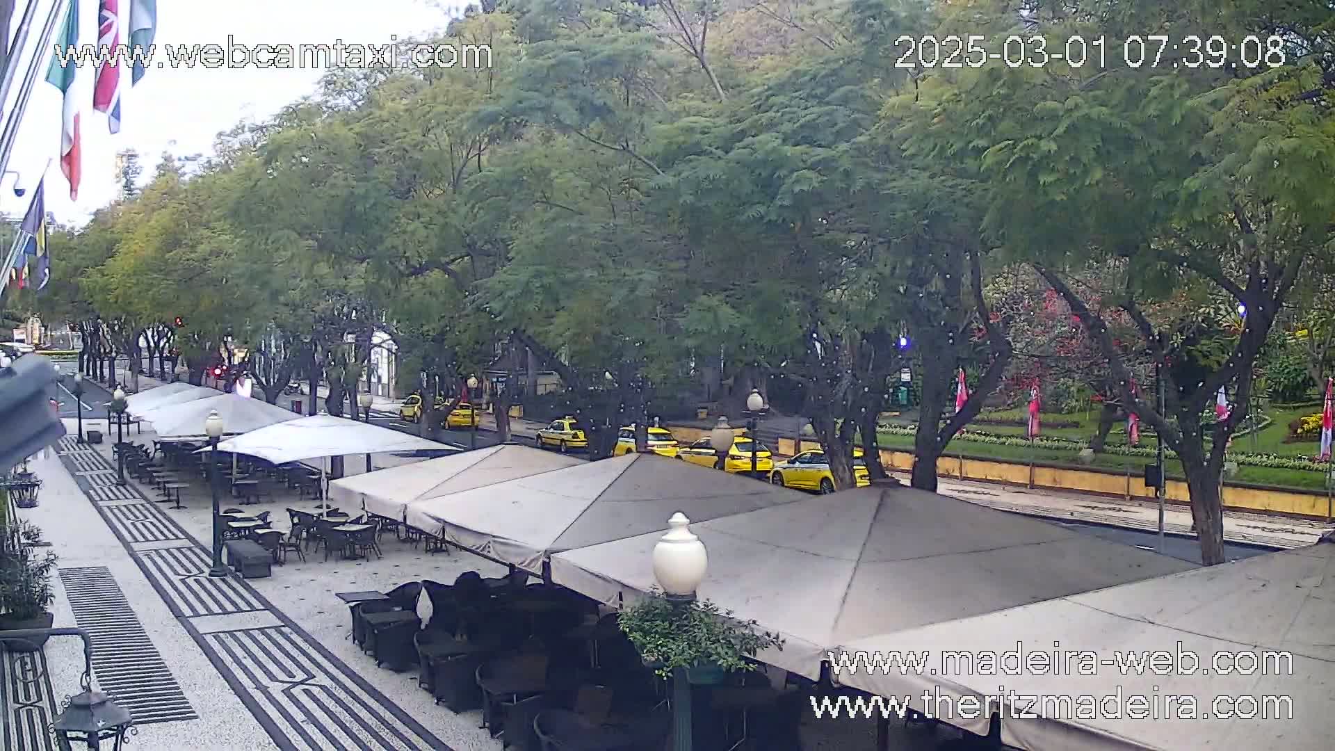 A street scene shows several yellow taxis driving along a tree-lined avenue, passing an outdoor cafe with numerous covered tables and chairs under an overcast sky.