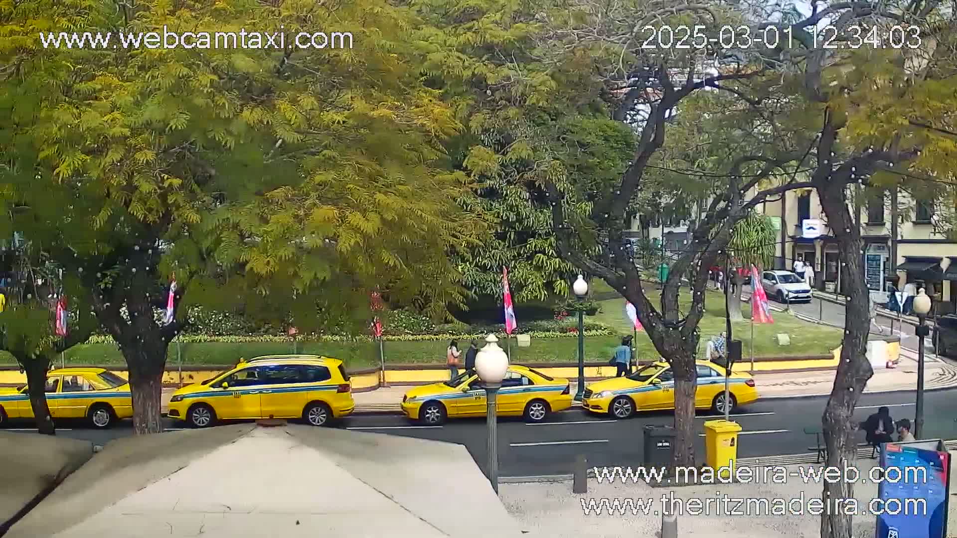 Four yellow taxis are parked on a city street lined with trees under a partly sunny sky.