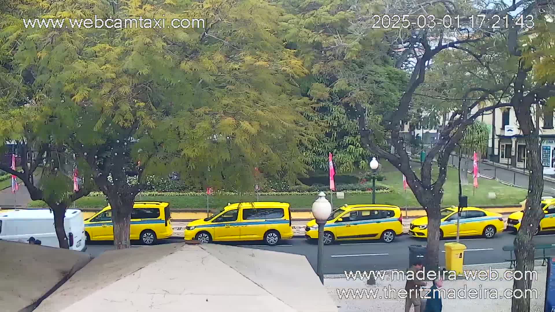Several yellow taxis are parked along a city street lined with trees under a partly cloudy sky.