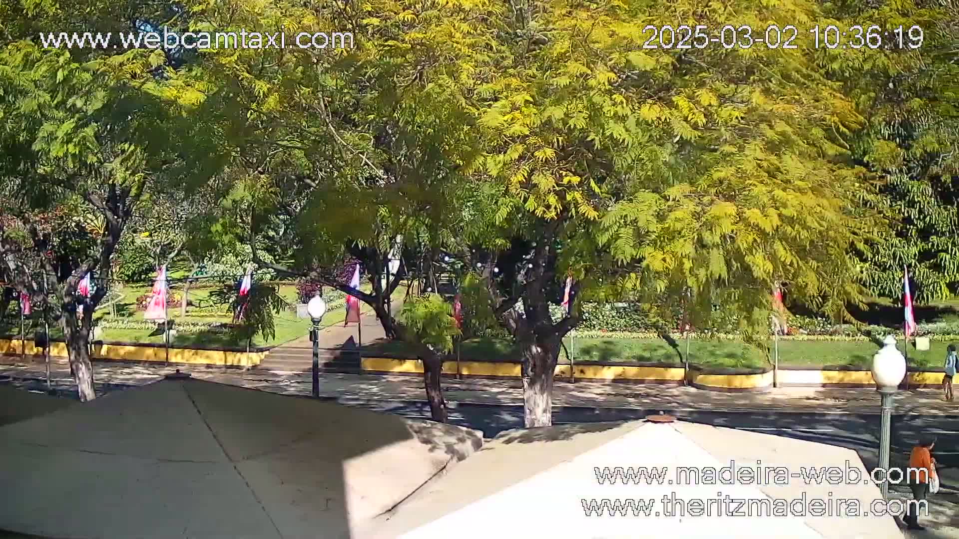 A sunny day shows a view of a paved walkway, bordered by a low wall and lush green landscaping with yellow-leafed trees, and partially visible patio umbrellas.