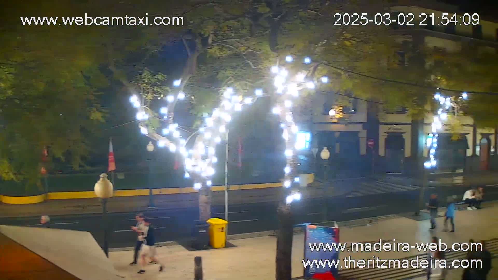 A nighttime street scene shows pedestrians walking past trees decorated with white lights, alongside buildings and a wet roadway.