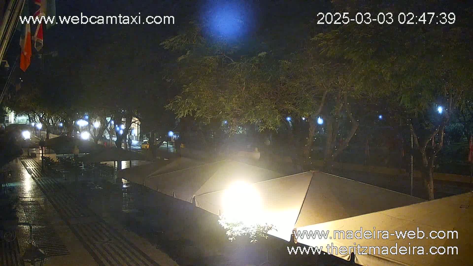 A wet, nighttime outdoor scene shows a plaza with trees, string lights, and several covered patio areas, some with seating.