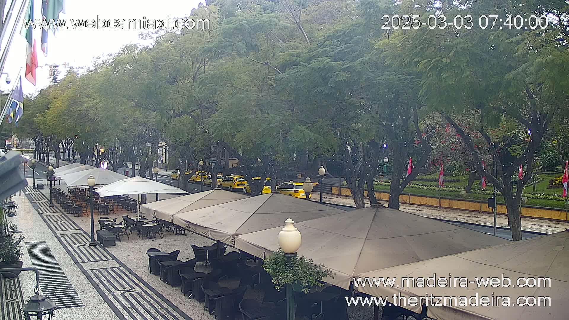 A lightly raining outdoor cafe scene with several yellow taxis on a street lined with leafy trees.